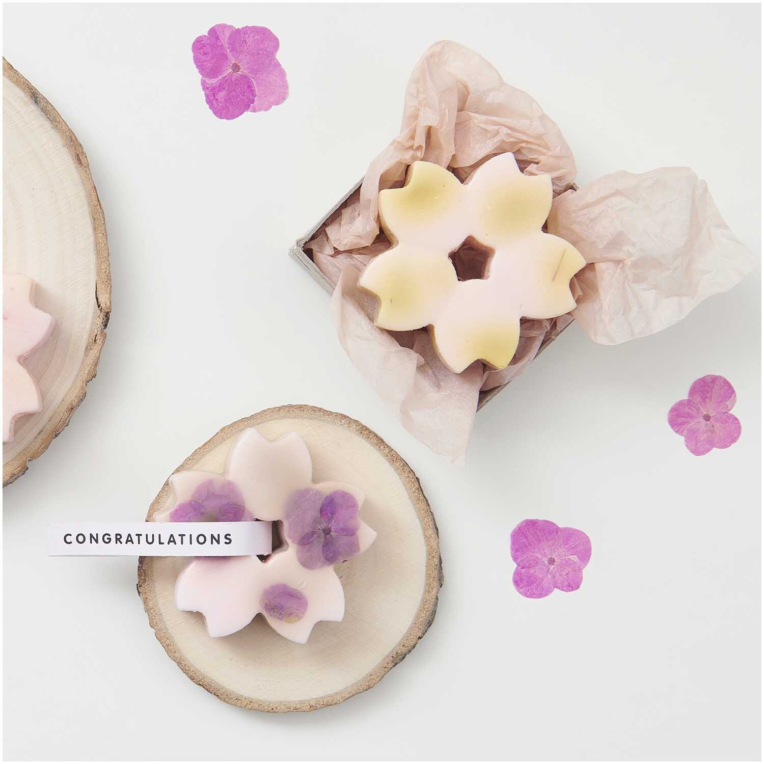 Gepresste Blüten Schleierkraut orange 8 Stück von Rico Design Gepresste Blüten Schleierkraut orange 8 Stück von Rico Design, dekorativ arrangiert auf Holzscheiben mit rosa Blütenakzenten.