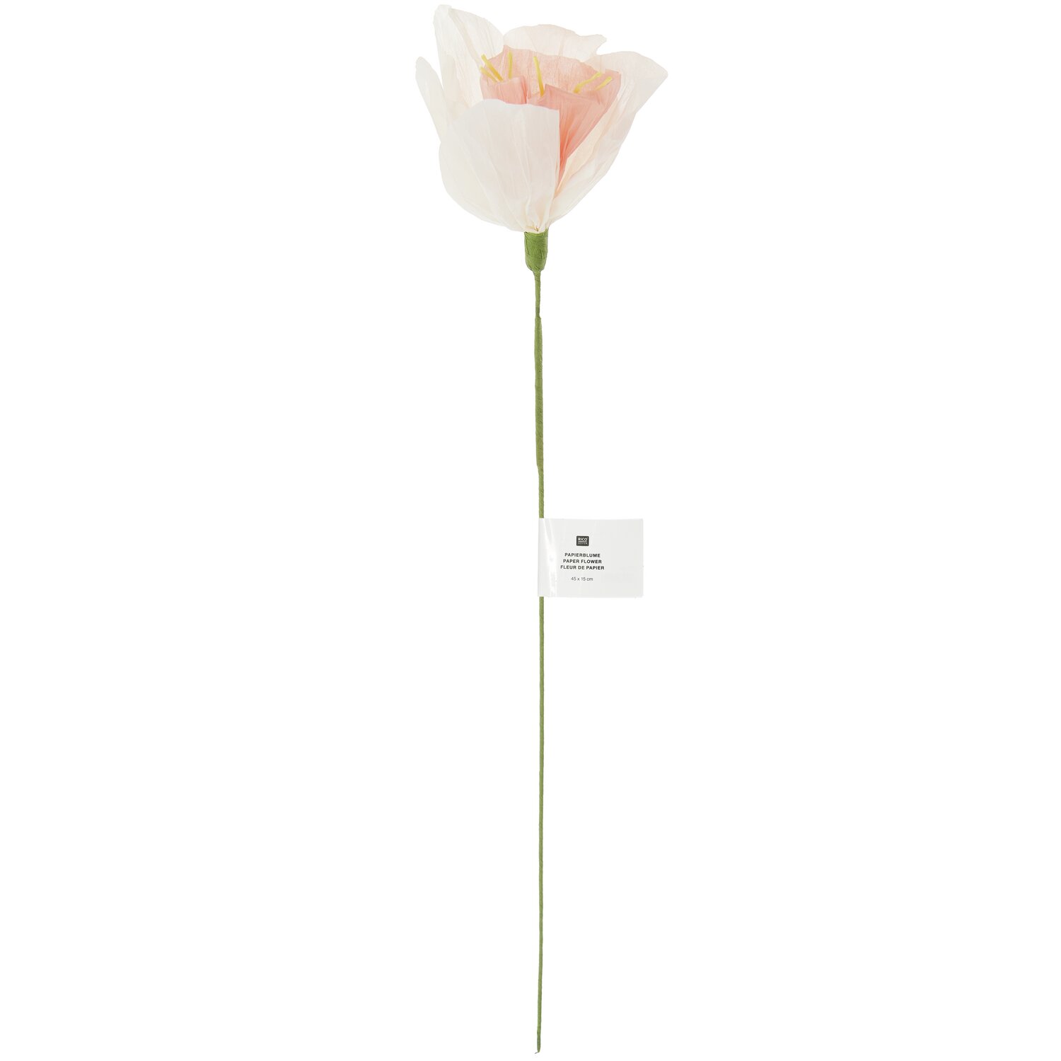 Papierblume Narzisse 45x15cm Farbe Weiß-Orange von Rico Design