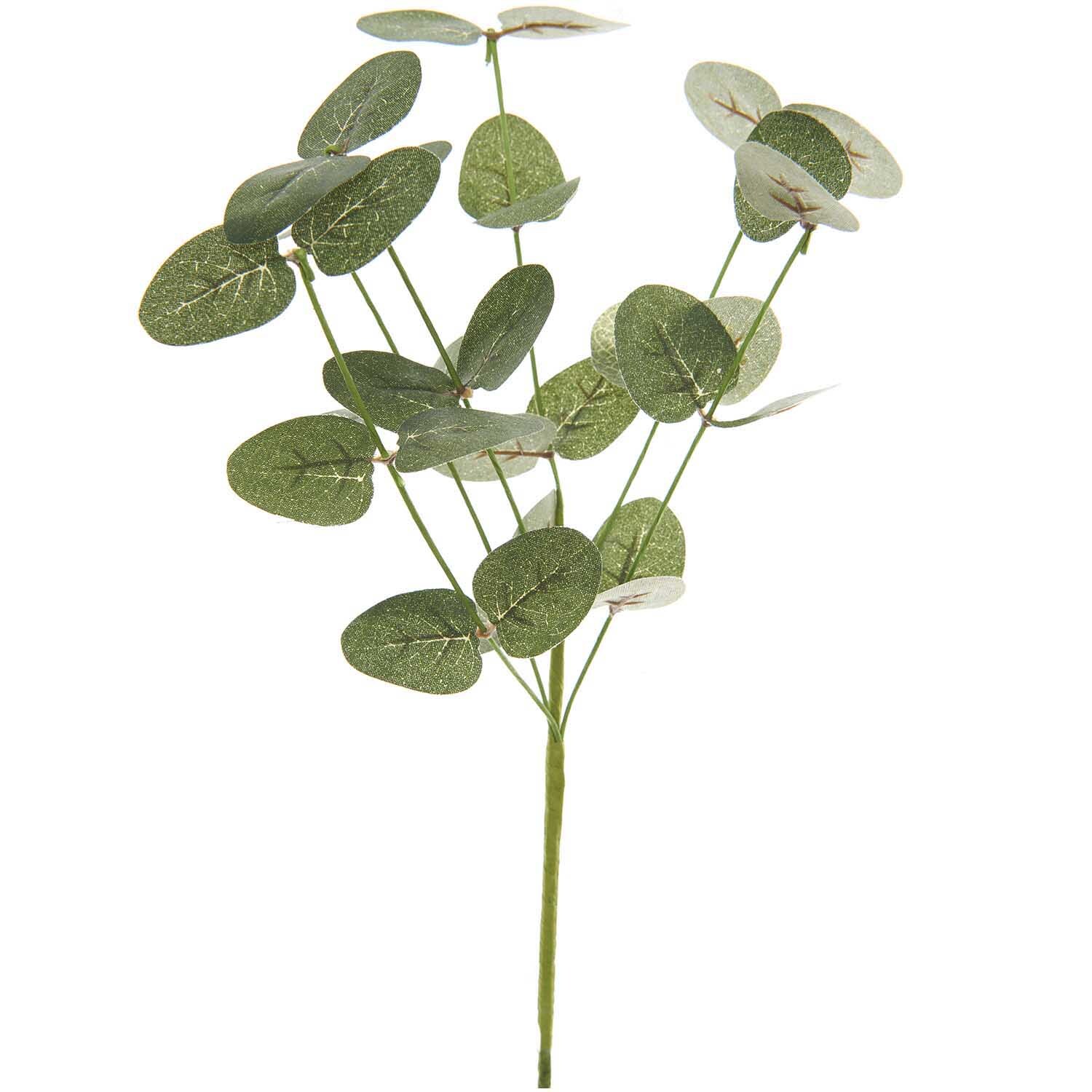 Eukalyptuszweig 26cm grasgrün von Rico Design zeigt realistische Blätter in natürlichem Grün.