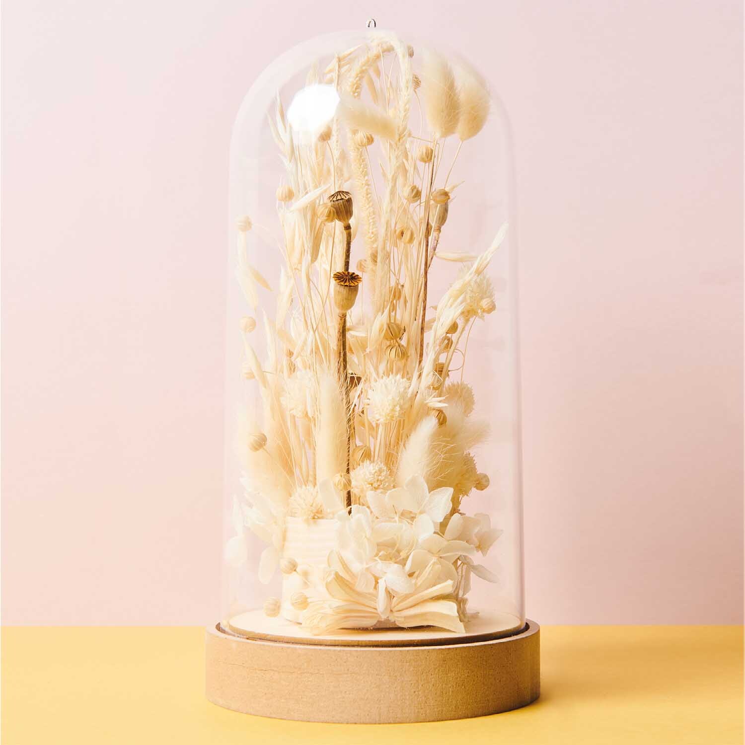 Steckschaum für Trockenblumen 7,5x4cm von Rico Design Steckschaum für Trockenblumen 7,5x4cm von Rico Design in einer Glasglocke mit eleganten, weißen Trockenblumen arrangiert.
