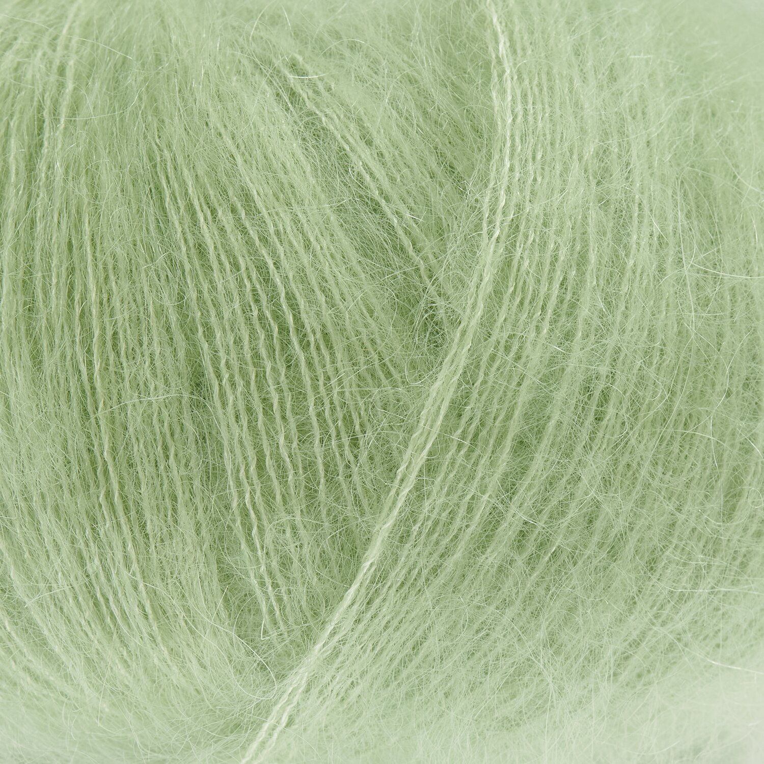 Aloe