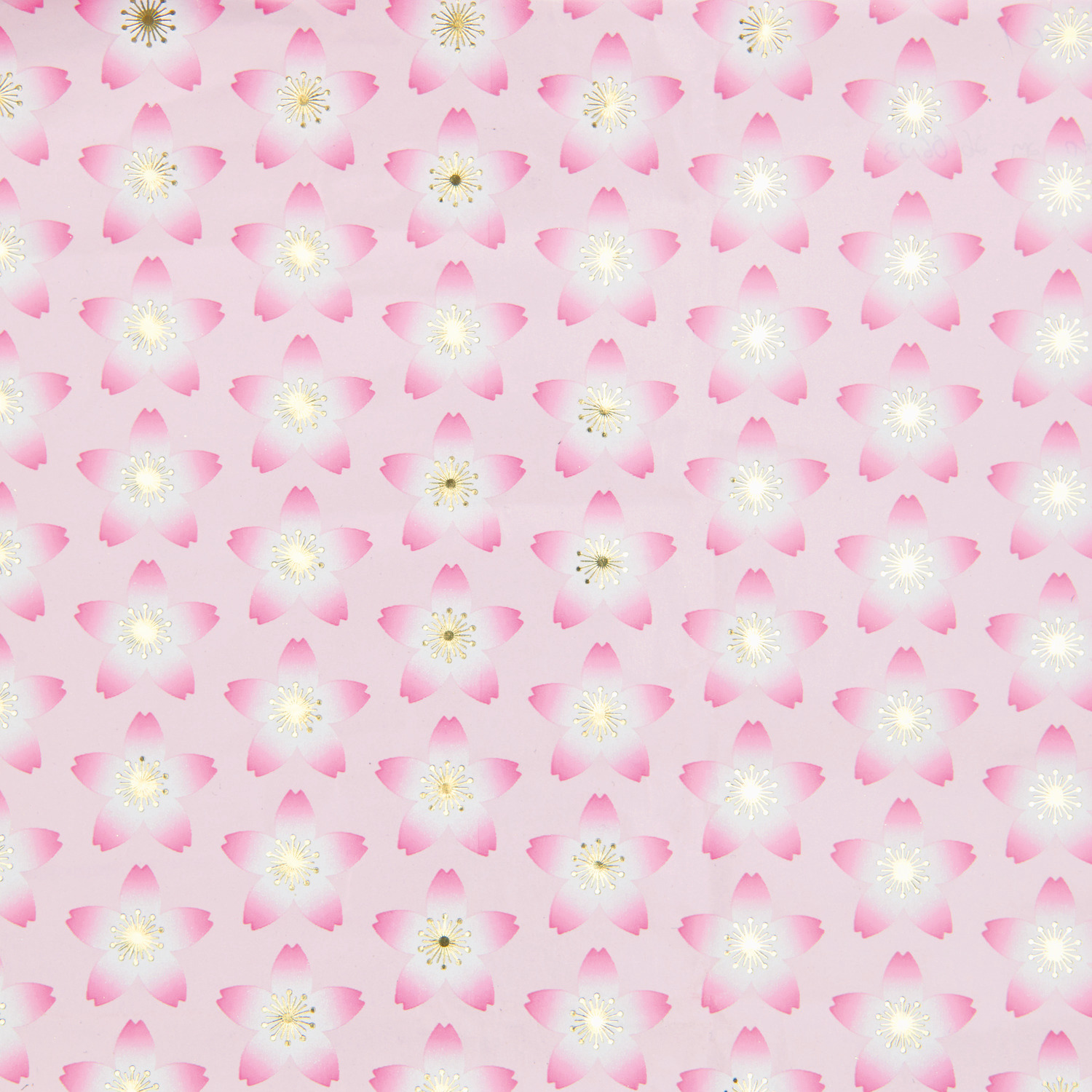 Geschenkpapier Kirschblüten Pink 70cm 2m 80g/m² von Rico Design Geschenkpapier Kirschblüten Pink von Rico Design mit zarten Kirschblütenmuster auf rosa Hintergrund.