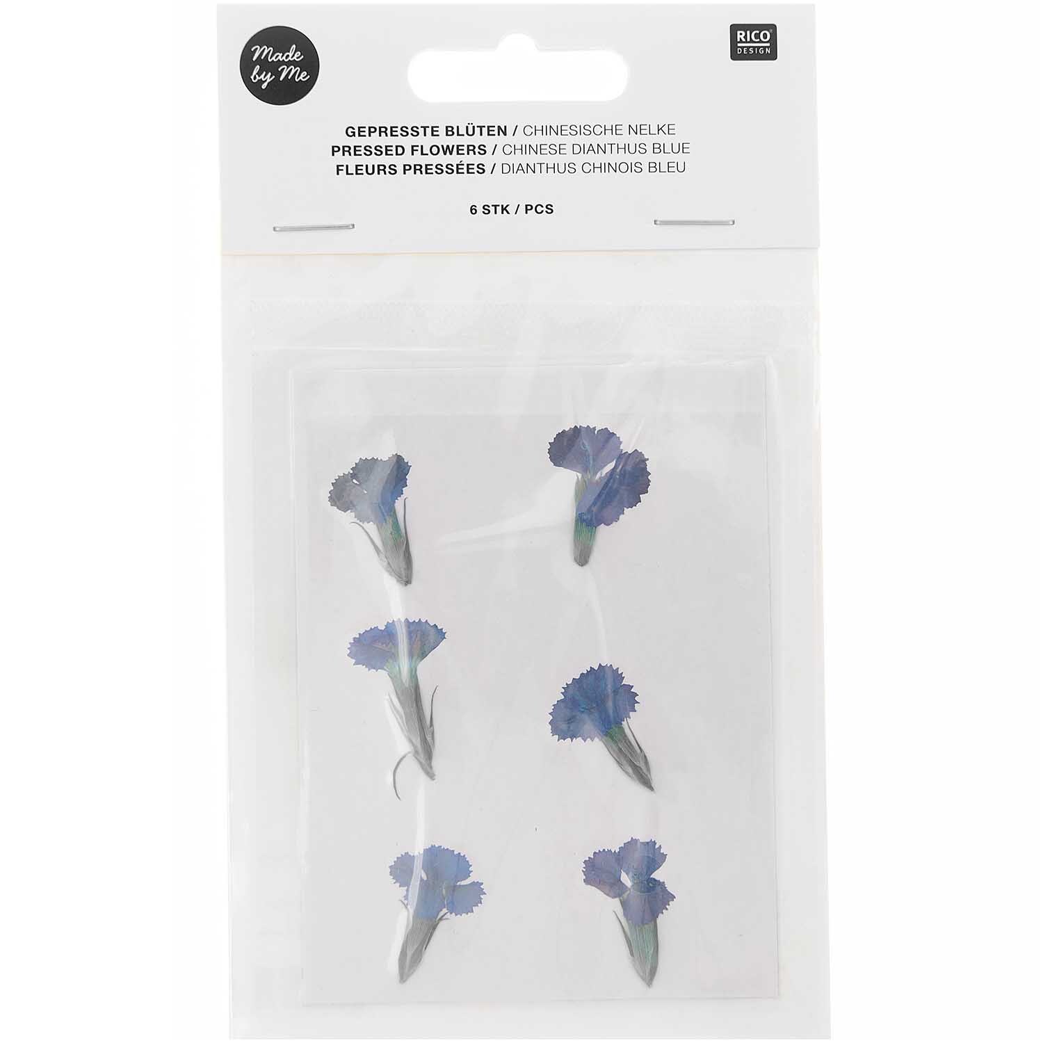 Gepresste Blüten Chinesische Nelke blau 6 Stück von Rico Design