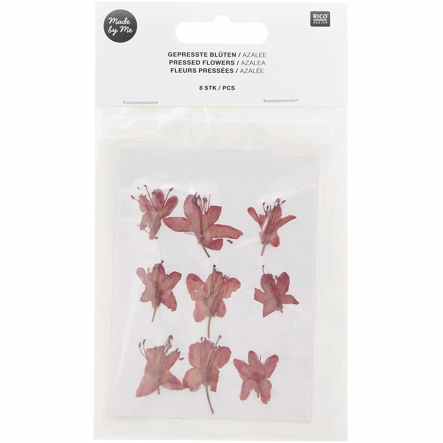 Gepresste Blüten Azalee rot 9 Stück von Rico Design