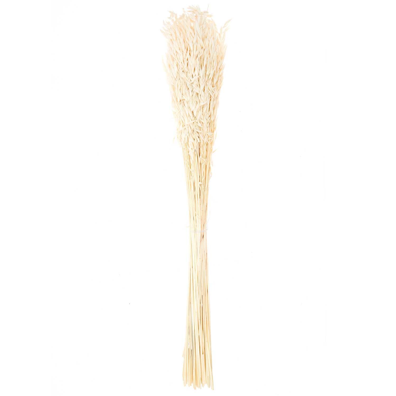 Getrockneter Hafer natur 60-75cm 100g von Rico Design Getrockneter Hafer natur 60-75cm 100g von Rico Design, gebündelt, ideal für Dekorationen.