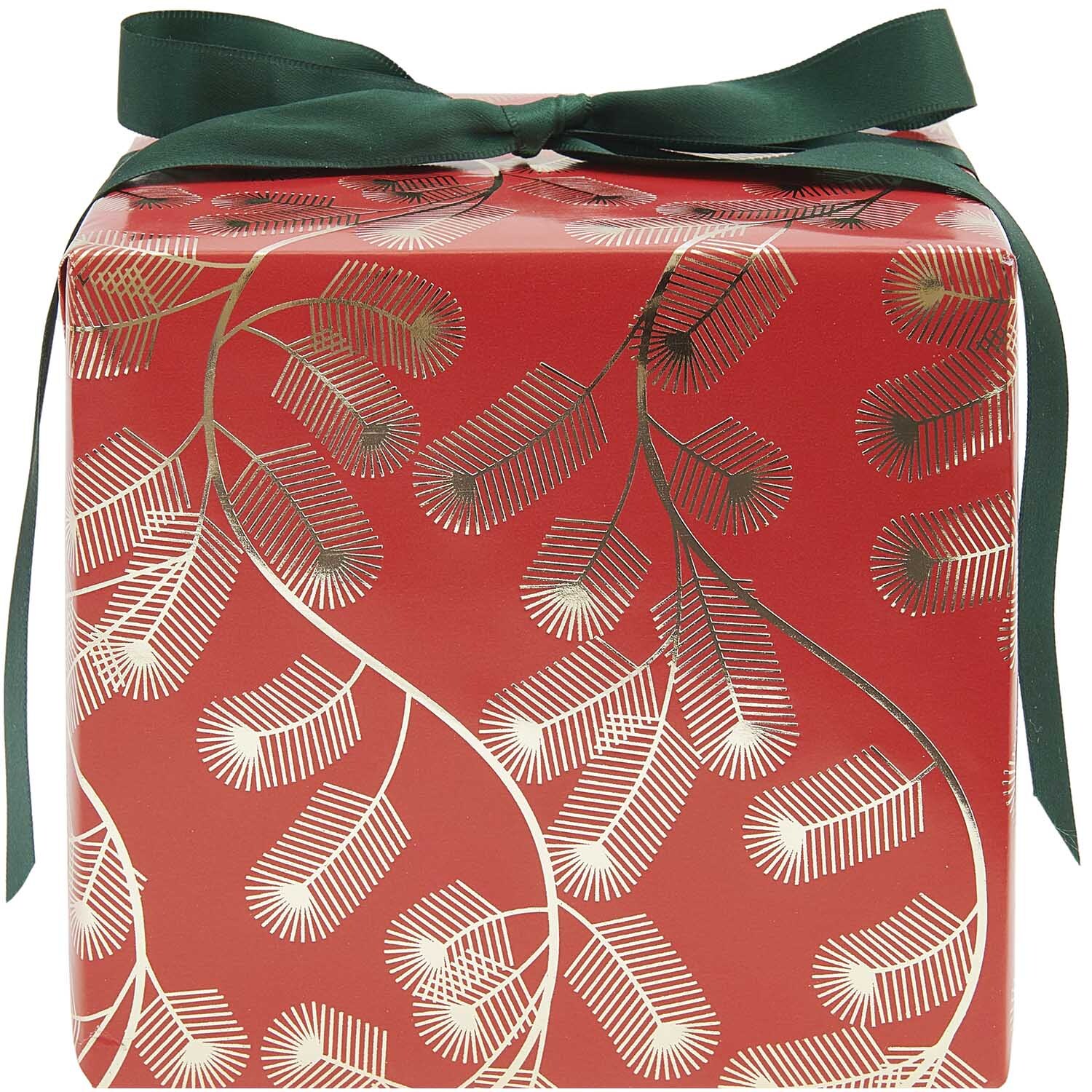 Paper Poetry Papier cadeau branches de sapin 200x70cm 80g/m2 Couleur Rouge from Rico Design Paper Poetry Geschenkpapier mit Tannenzweigen auf rotem Hintergrund, verziert mit grünem Band. Ideal für festliche Anlässe.