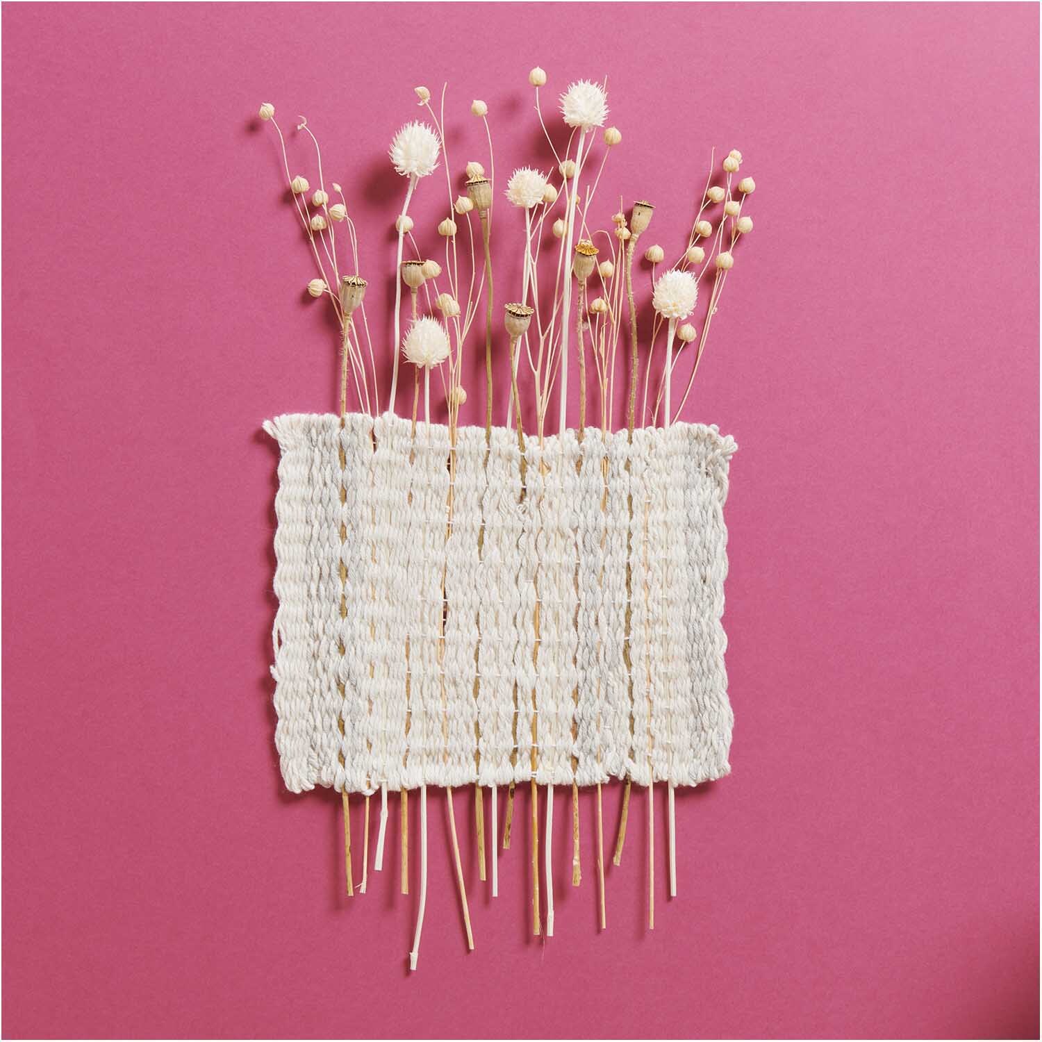 Getrockneter Flachs natur 60-75cm 100g von Rico Design Getrockneter Flachs natur 60-75cm 100g von Rico Design auf rosa Hintergrund, dekorativ arrangiert.