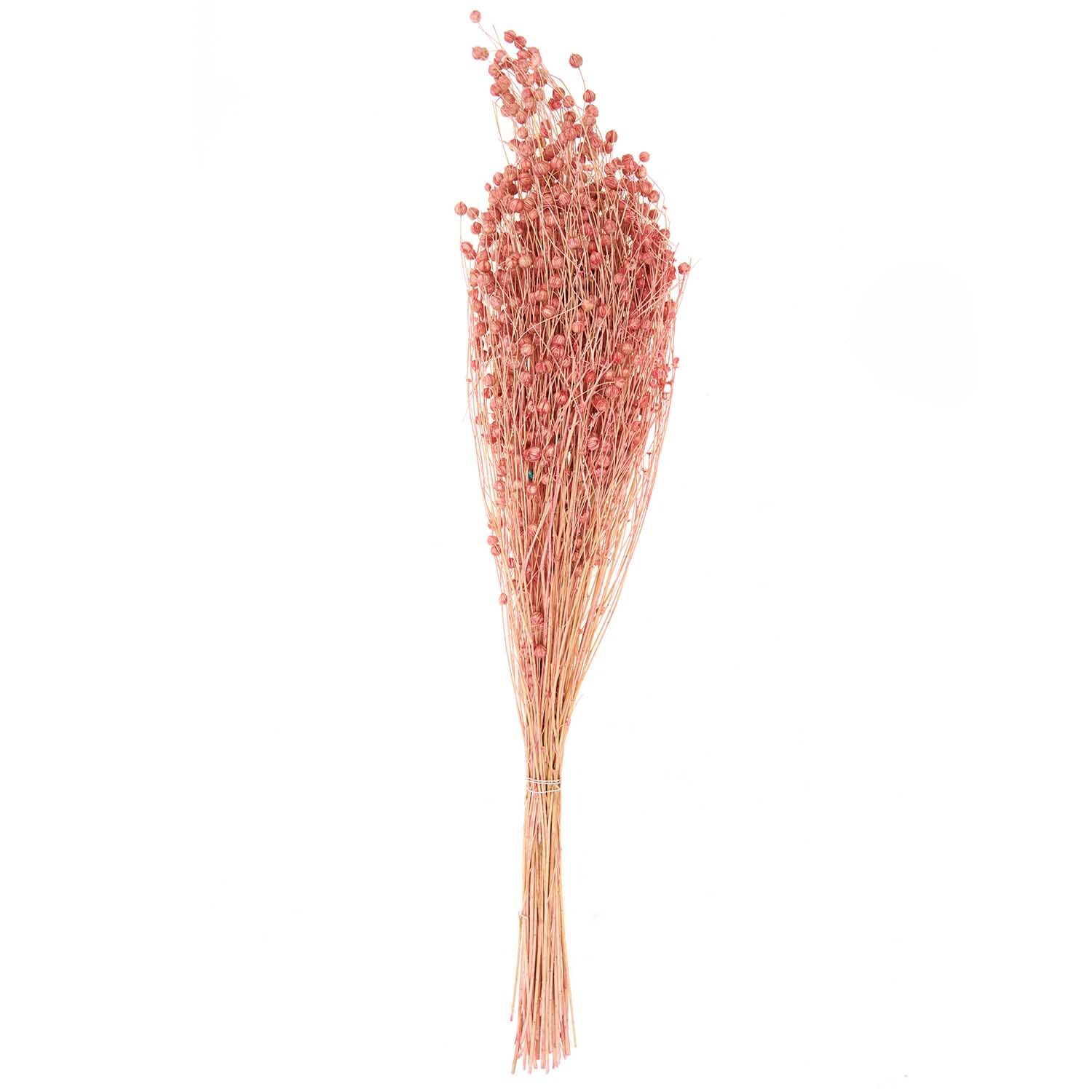 Getrockneter Flachs pink 60-75cm 100g von Rico Design Getrockneter Flachs pink 60-75cm 100g von Rico Design, dekorativer Strauß mit zarten Blüten.