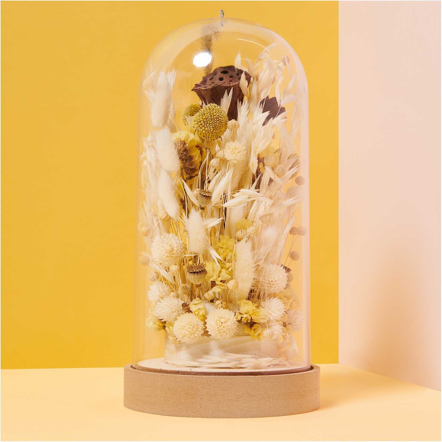 Getrockneter Hafer natur 60-75cm 100g von Rico Design Getrockneter Hafer natur 60-75cm 100g in einer dekorativen Glasglocke auf gelbem Hintergrund. Ideal für stilvolle Wohnaccessoires.