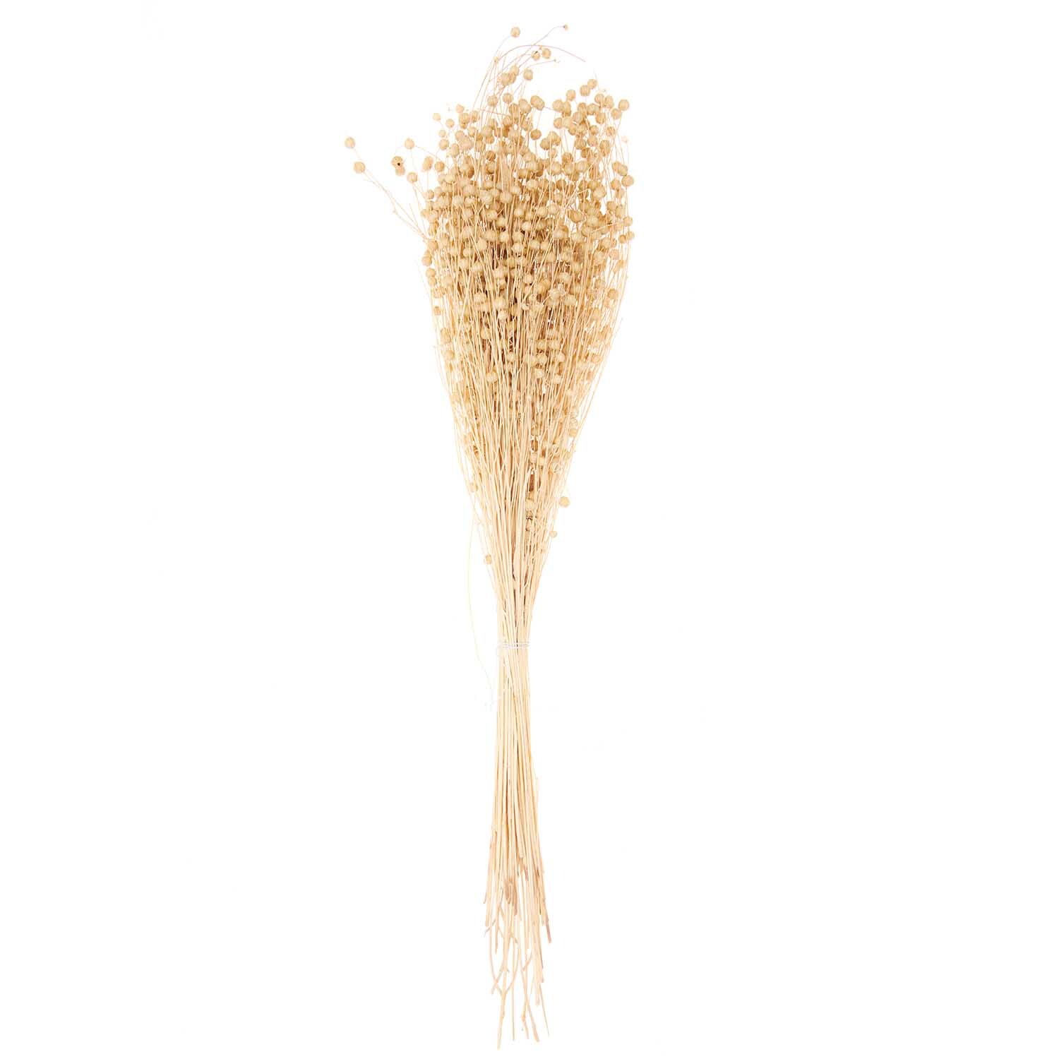 Getrockneter Flachs natur 60-75cm 100g von Rico Design Getrockneter Flachs natur 60-75cm 100g von Rico Design. Bündel aus hellen, getrockneten Flachsstängeln. Ideal für Dekorationen.