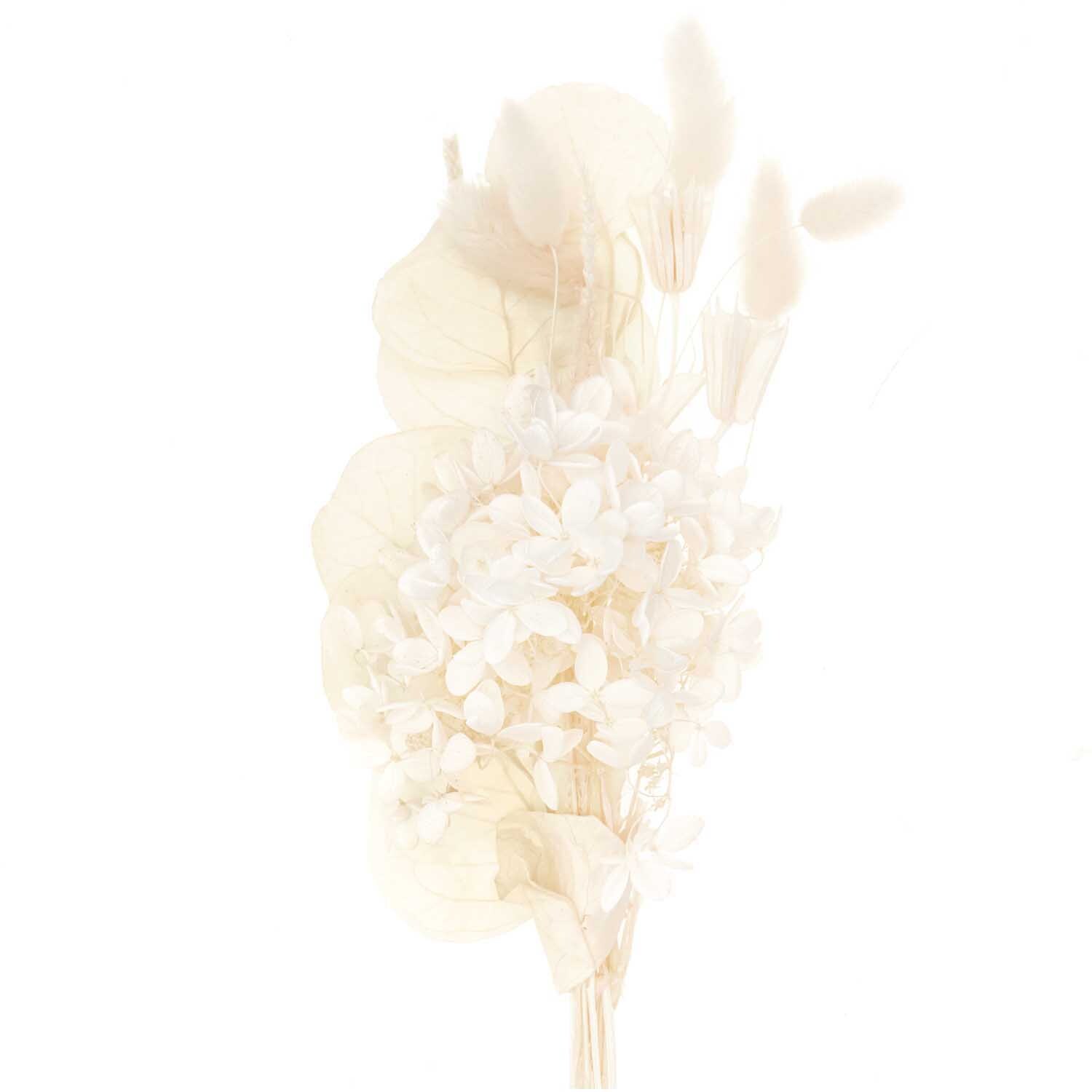 Trockenblumenstrauß natur-weiß 30cm: Eleganter Strauß aus 13 weißen Trockenblumen von Rico Design.