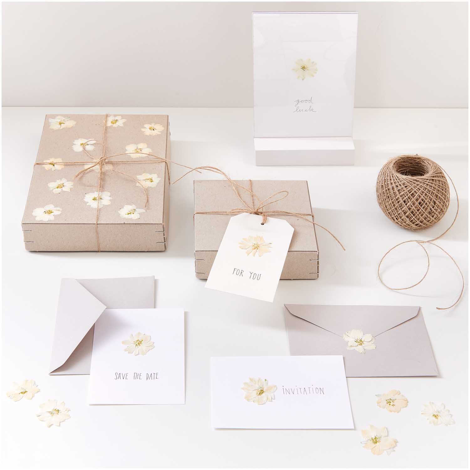 Gepresste Blüten Rittersporn weiß 8 Stück von Rico Design Gepresste Blüten Rittersporn weiß 8 Stück auf Einladungen und Geschenken dekoriert.
