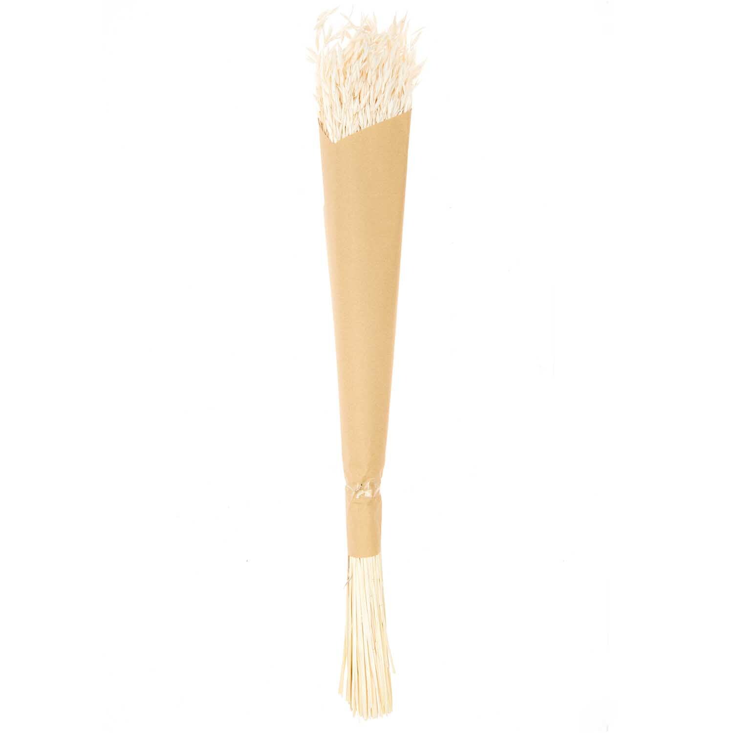 Getrockneter Hafer natur 60-75cm 100g von Rico Design
