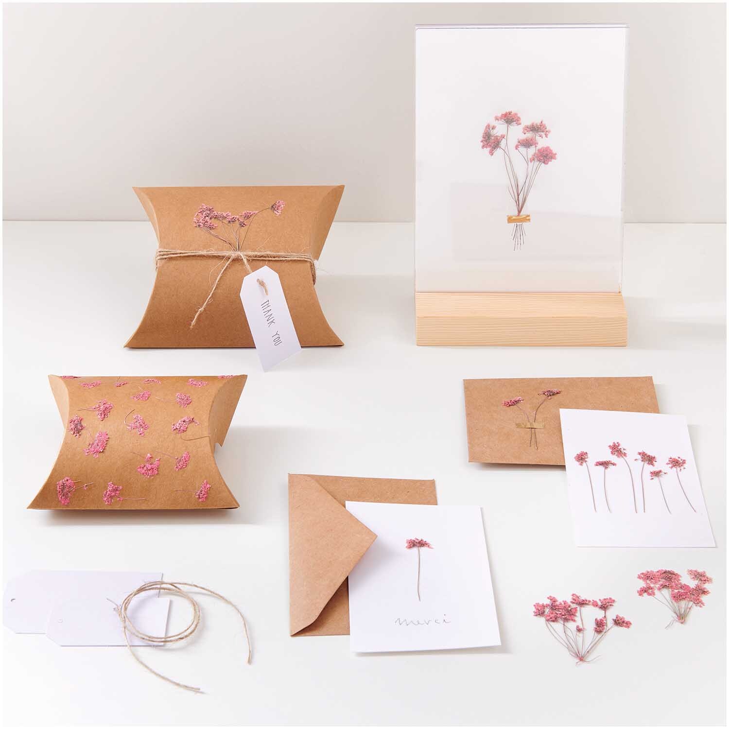 Gepresste Blüten Ammi Zweig rosa 4 Stück von Rico Design Gepresste Blüten Ammi Zweig rosa 4 Stück: Kreatives Set mit rosa Blüten und Karten, ideal für DIY-Projekte und Dekorationen.