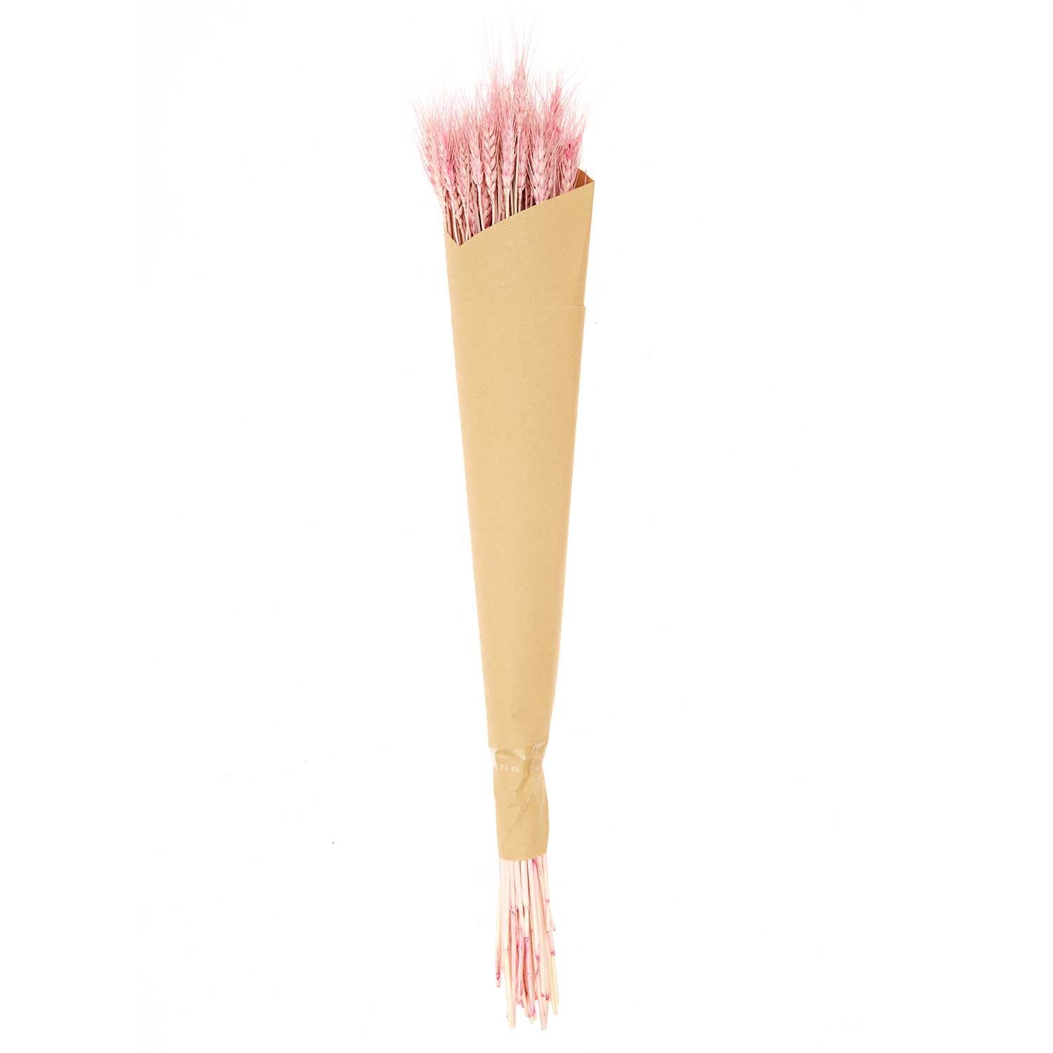 Getrockneter Weizen pink 60-70cm 50 Stück von Rico Design