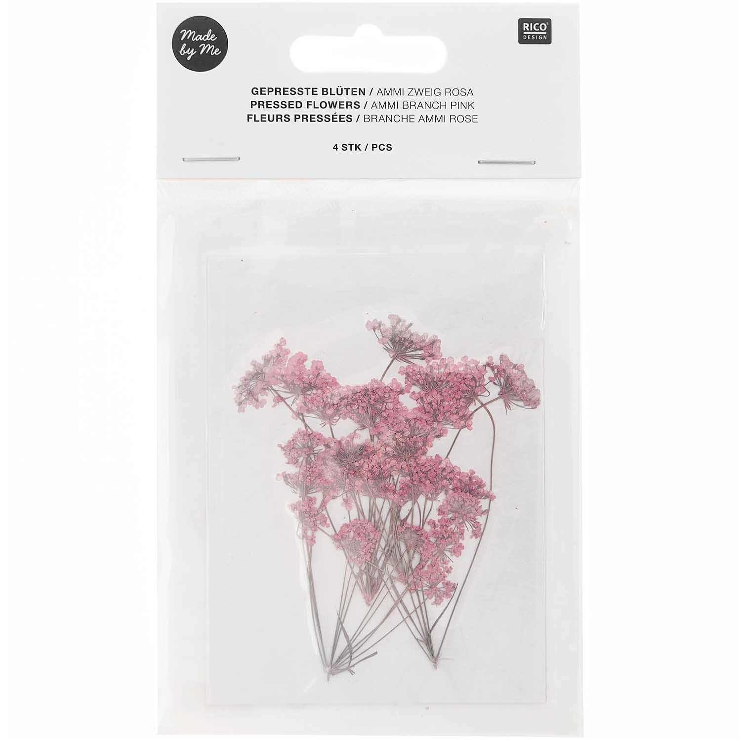 Gepresste Blüten Ammi Zweig rosa 4 Stück von Rico Design