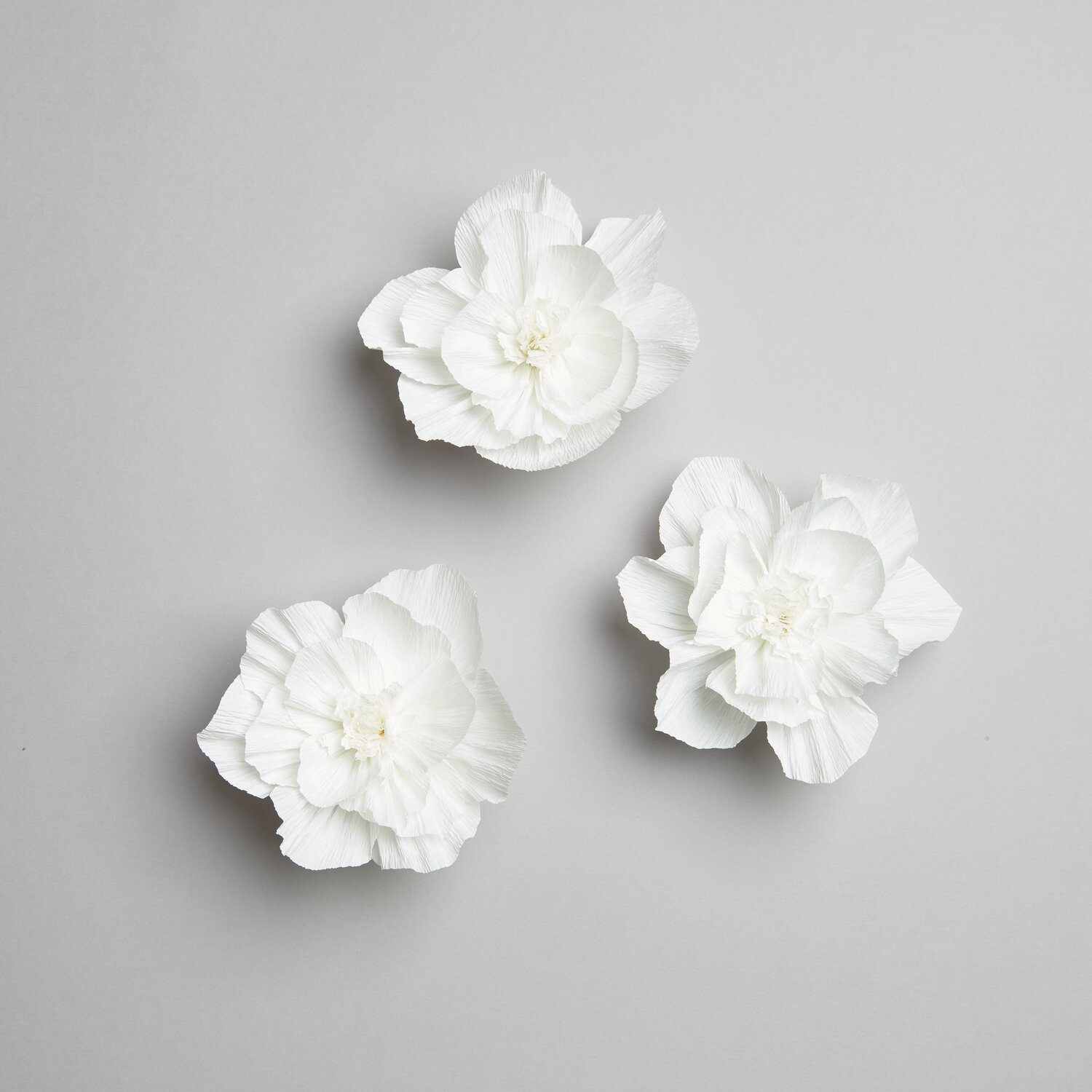 Krepppapier Blüten Ø12cm 3 Stück Farbe Weiß von Rico Design Krepppapier Blüten in Weiß, Ø12cm, 3 Stück. Drei kunstvolle, weiße Papierblumen auf grauem Hintergrund.