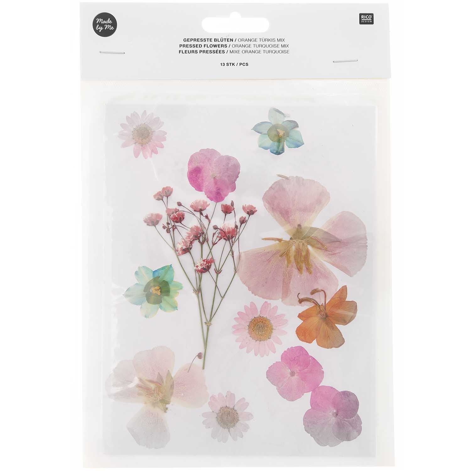 Gepresste Blüten Mix Set orange-türkis 13 Stück von Rico Design