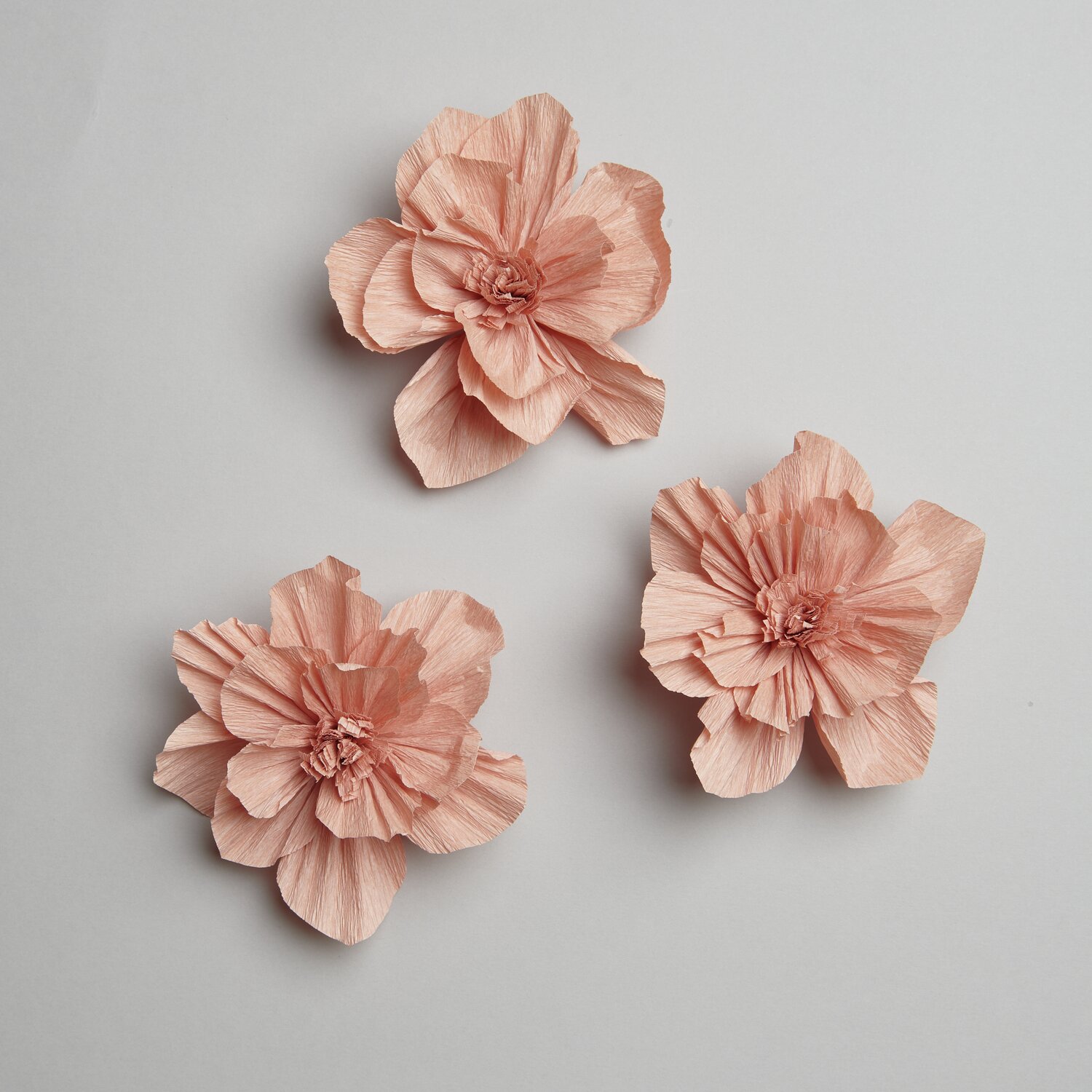 Krepppapier Blüten Ø12cm 3 Stück Farbe Terracotta von Rico Design Krepppapier Blüten in Terracotta von Rico Design, drei Stück, Ø12cm, auf grauem Hintergrund arrangiert.