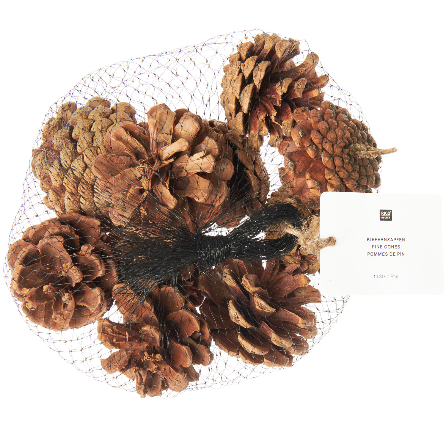 Kiefernzapfen 10 Stück Farbe Natur von Rico Design Kiefernzapfen im Netzbeutel, 10 Stück, von Rico Design. Naturfarbene Deko für kreative Projekte.