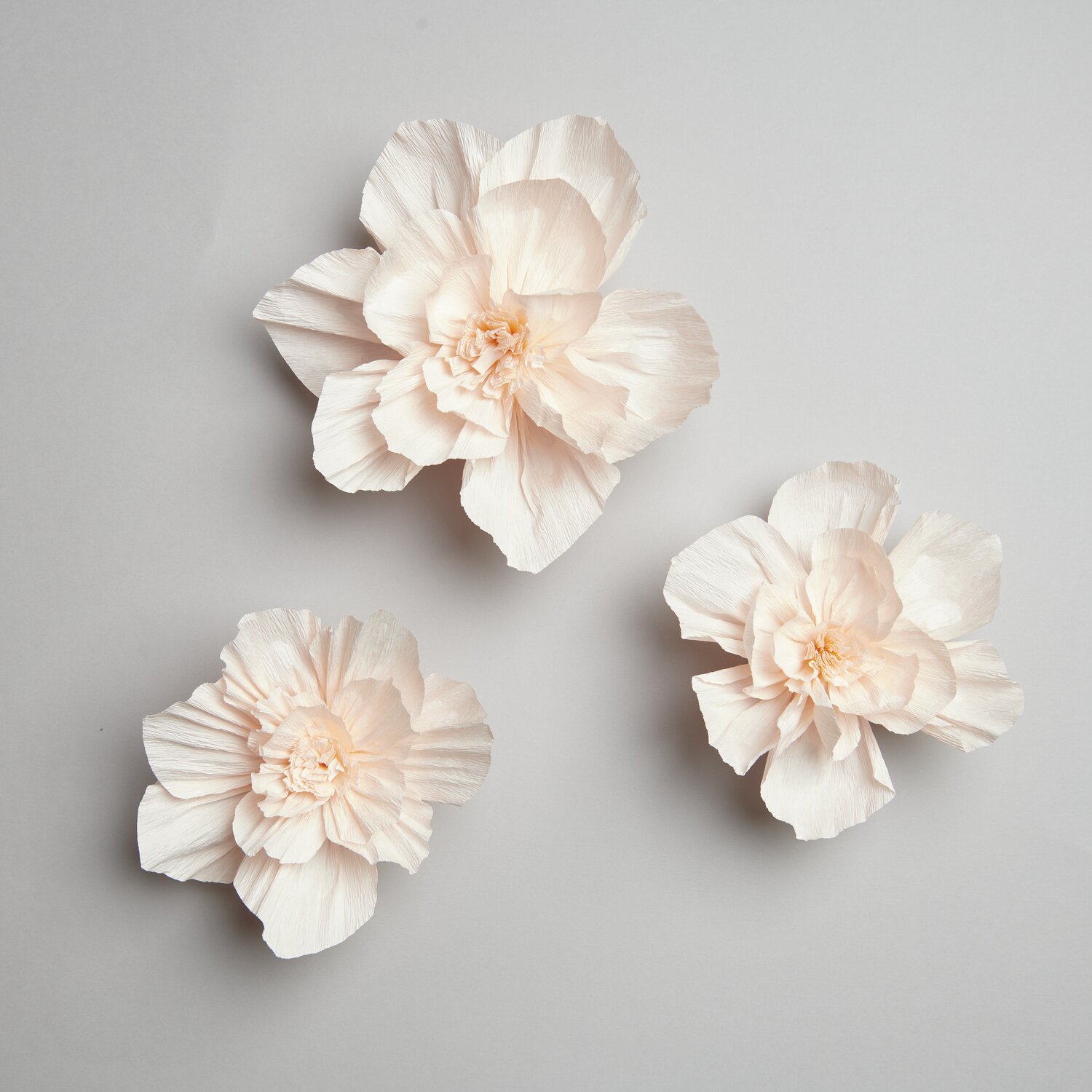 Krepppapier Blüten 3 Stück Farbe Soft Pfirsich von Rico Design Krepppapier Blüten, Soft Pfirsich, von Rico Design, 3 Stück auf grauem Hintergrund arrangiert.