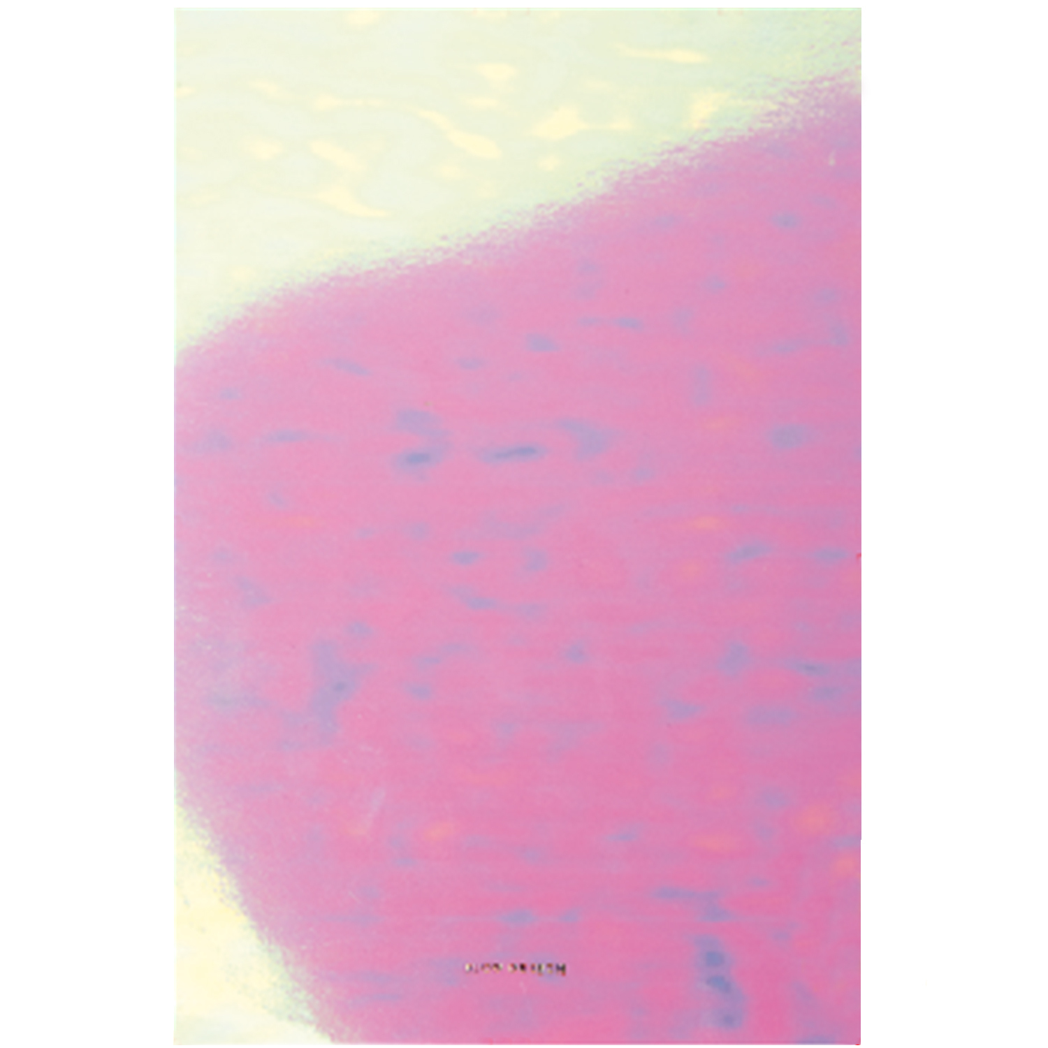 Paper Poetry Notizblock A5 mit irisierendem Design, 50 Blatt, 100g/m², von Rico Design.