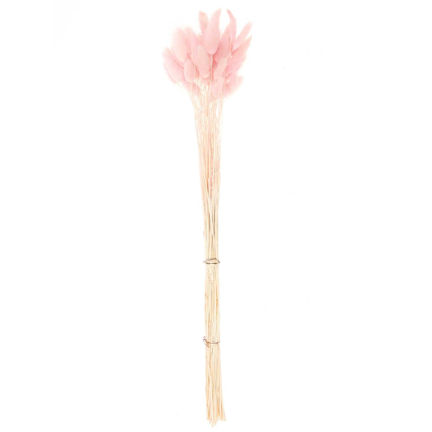 Getrockneter Lagurus pink ca. 40cm 50 Stück von Rico Design Getrockneter Lagurus pink ca. 40cm 50 Stück von Rico Design, zeigt zarte, rosa Blüten auf langen Stielen. Ideal für Dekorationen.