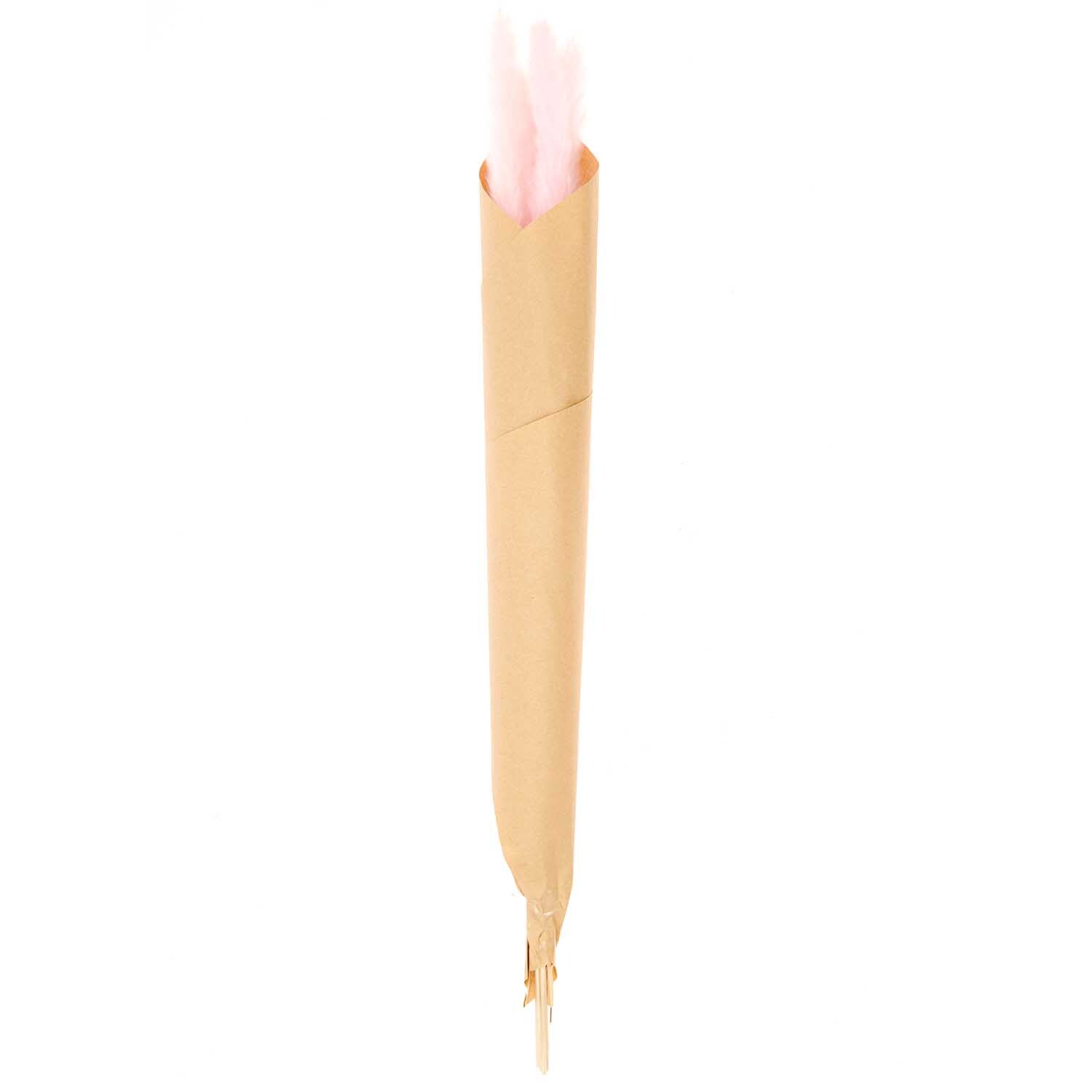 Getrocknetes Pampasgras pink 65-75cm 6 Stück von Rico Design
