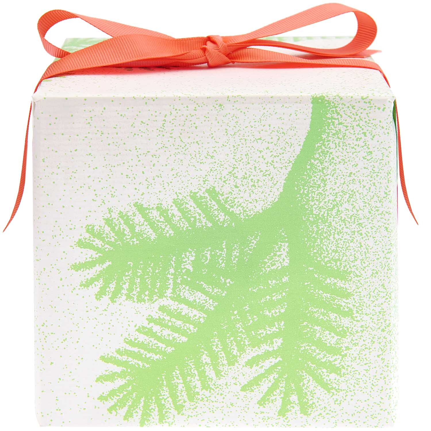 Paper Poetry Geschenkpapier zeigt Tannenzweige in Neon Grün, verpackt mit roter Schleife. Ideal für festliche Anlässe.
