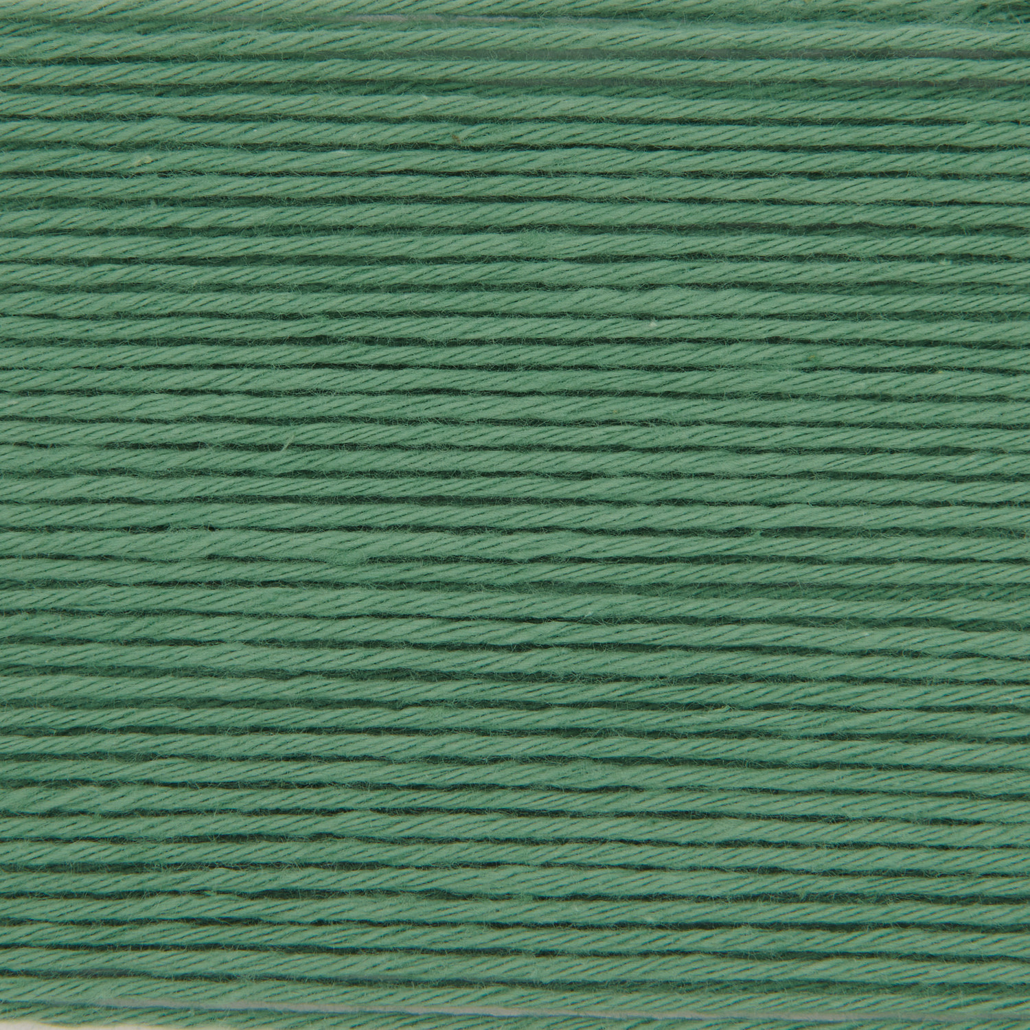 Fir green