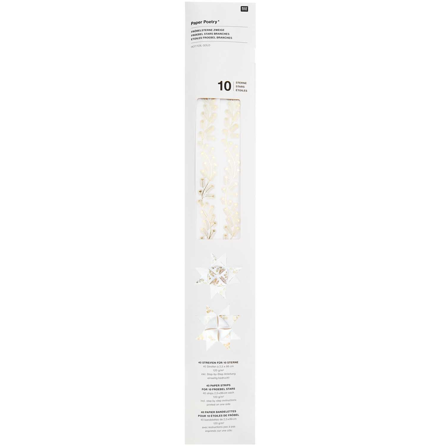 Paper Poetry Bandes de Fröbel Branches 120g/m2 40 pièces from Rico Design