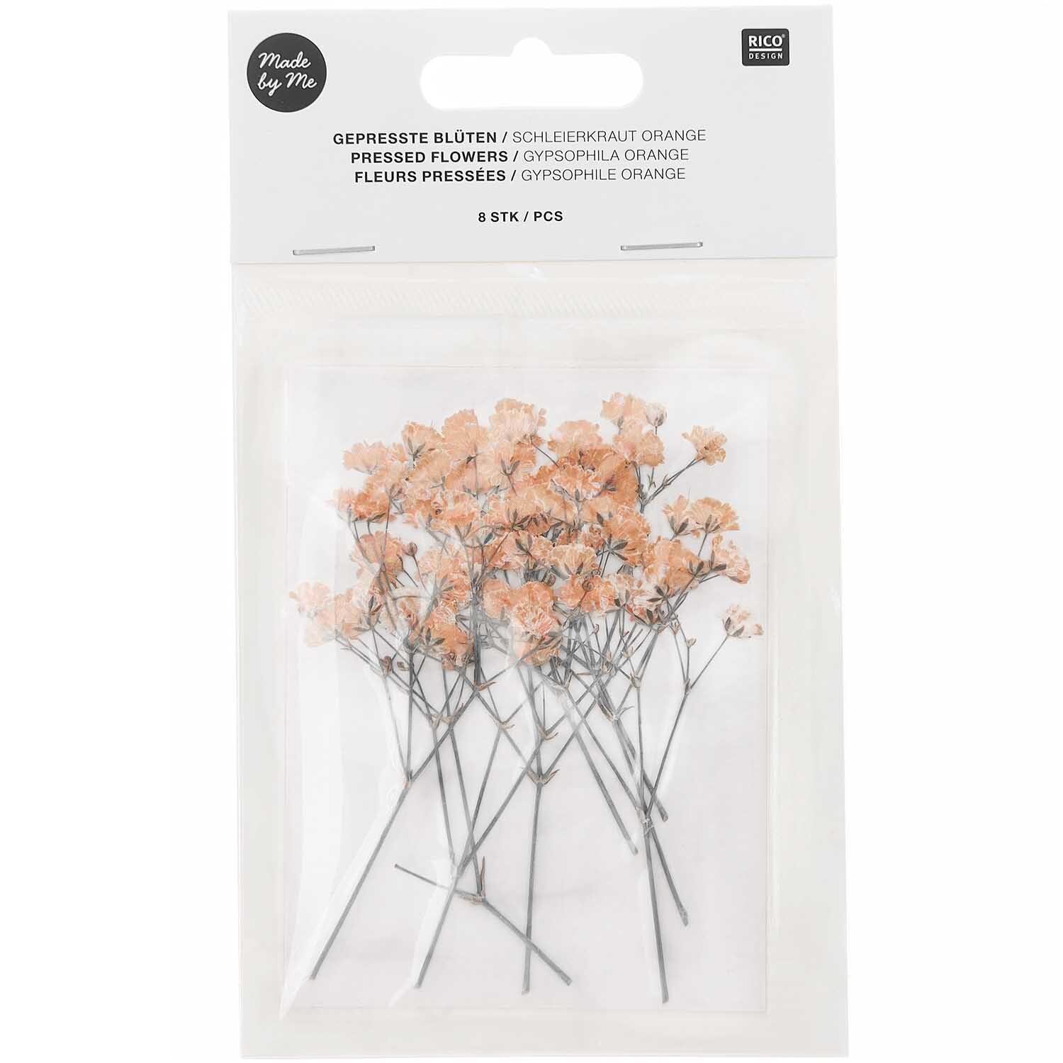 Gepresste Blüten Schleierkraut orange 8 Stück von Rico Design