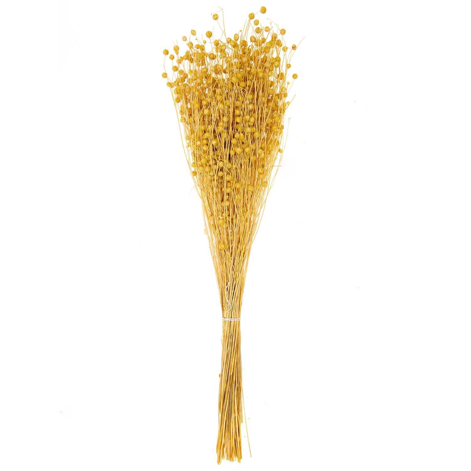 Getrockneter Flachs gelb 60-75cm 100g von Rico Design Getrockneter Flachs gelb 60-75cm 100g von Rico Design, zeigt einen Strauß gelber Flachsstängel.