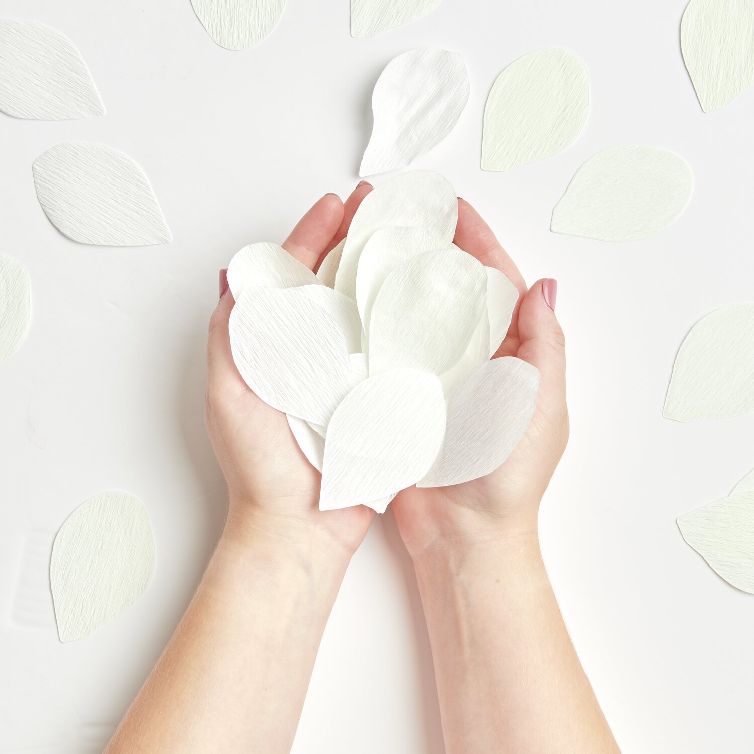 Krepp-Konfetti Rosenblätter groß 20g Farbe Weiß von Rico Design Krepp-Konfetti Rosenblätter groß: Weiße Blätter in Händen gehalten, ideal für Dekorationen.