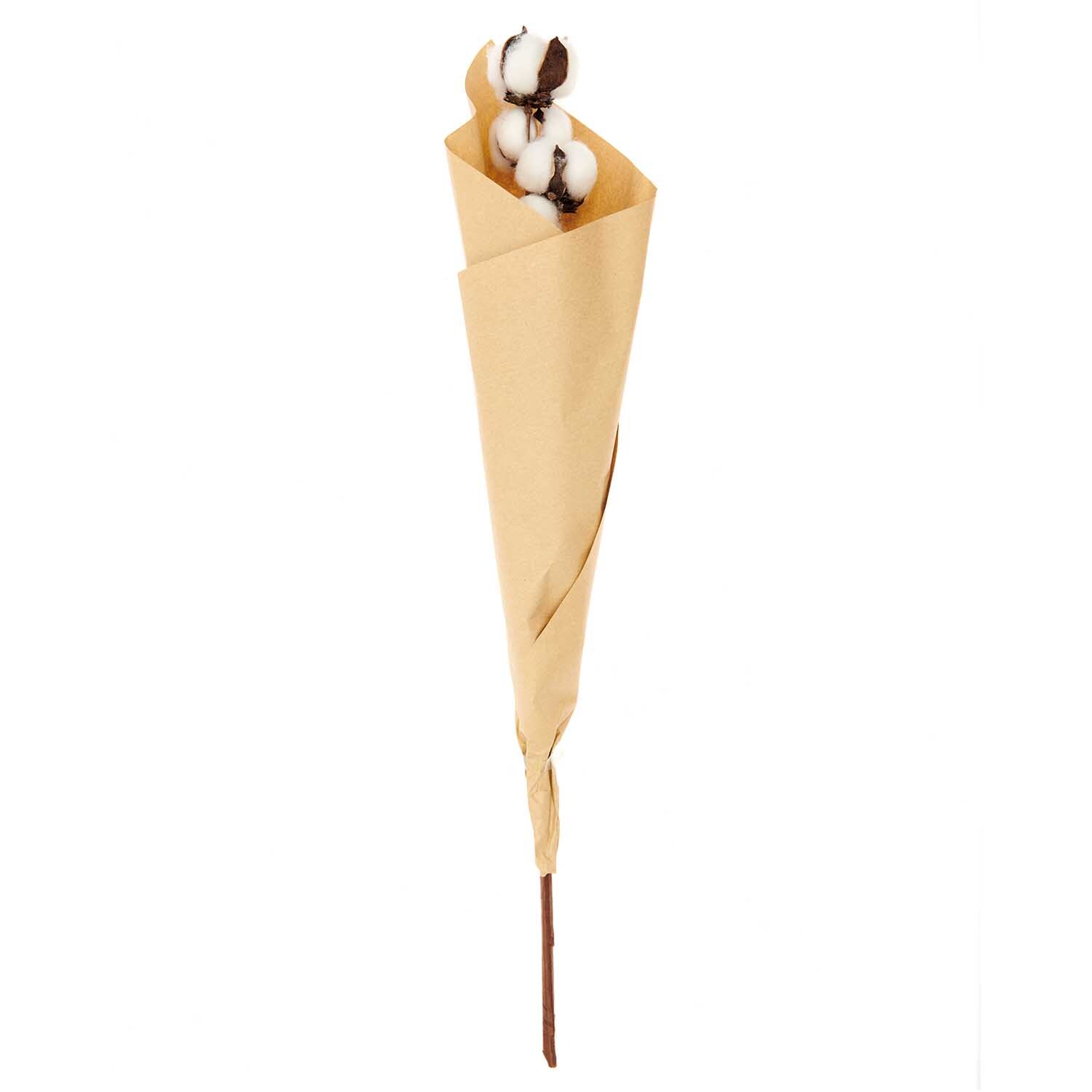 Baumwollzweig 70cm 10 Blüten 1 Stück von Rico Design