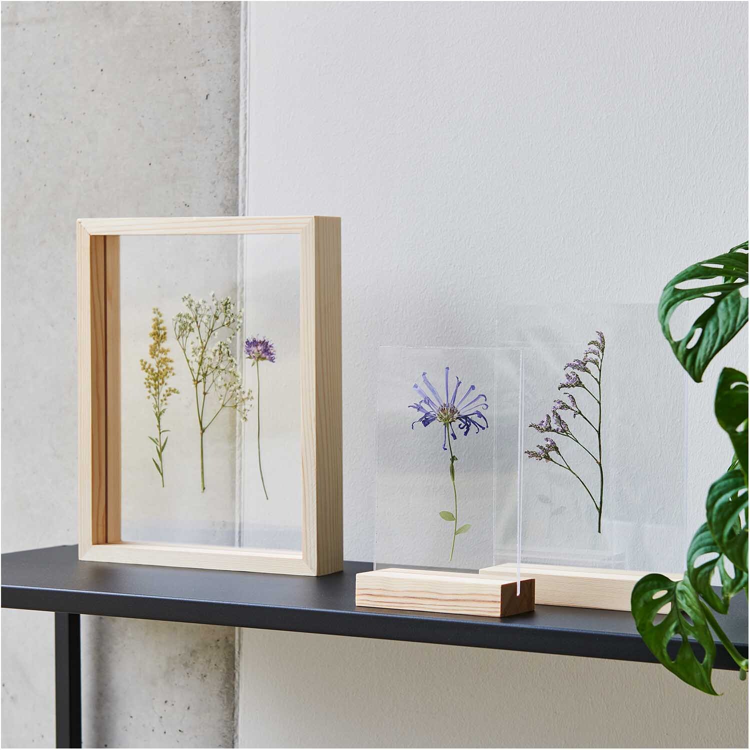 Holzaufsteller mit doppelter Acrylscheibe 10x15cm Farbe Weiß von Rico Design Holzaufsteller mit doppelter Acrylscheibe zeigt gepresste Blumen, ideal für stilvolle Dekoration. Marke: Rico Design. Farben: Weiß, Natur.