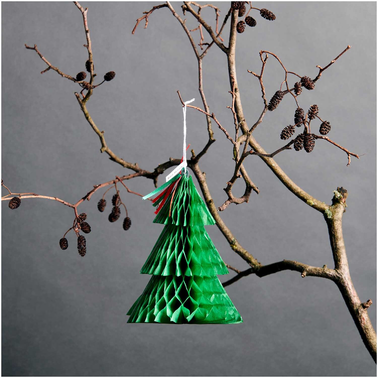 Paper Poetry Kartenset mit Pop-Up Anhänger Tanne B6, grüner Baum an kahlem Ast hängend.