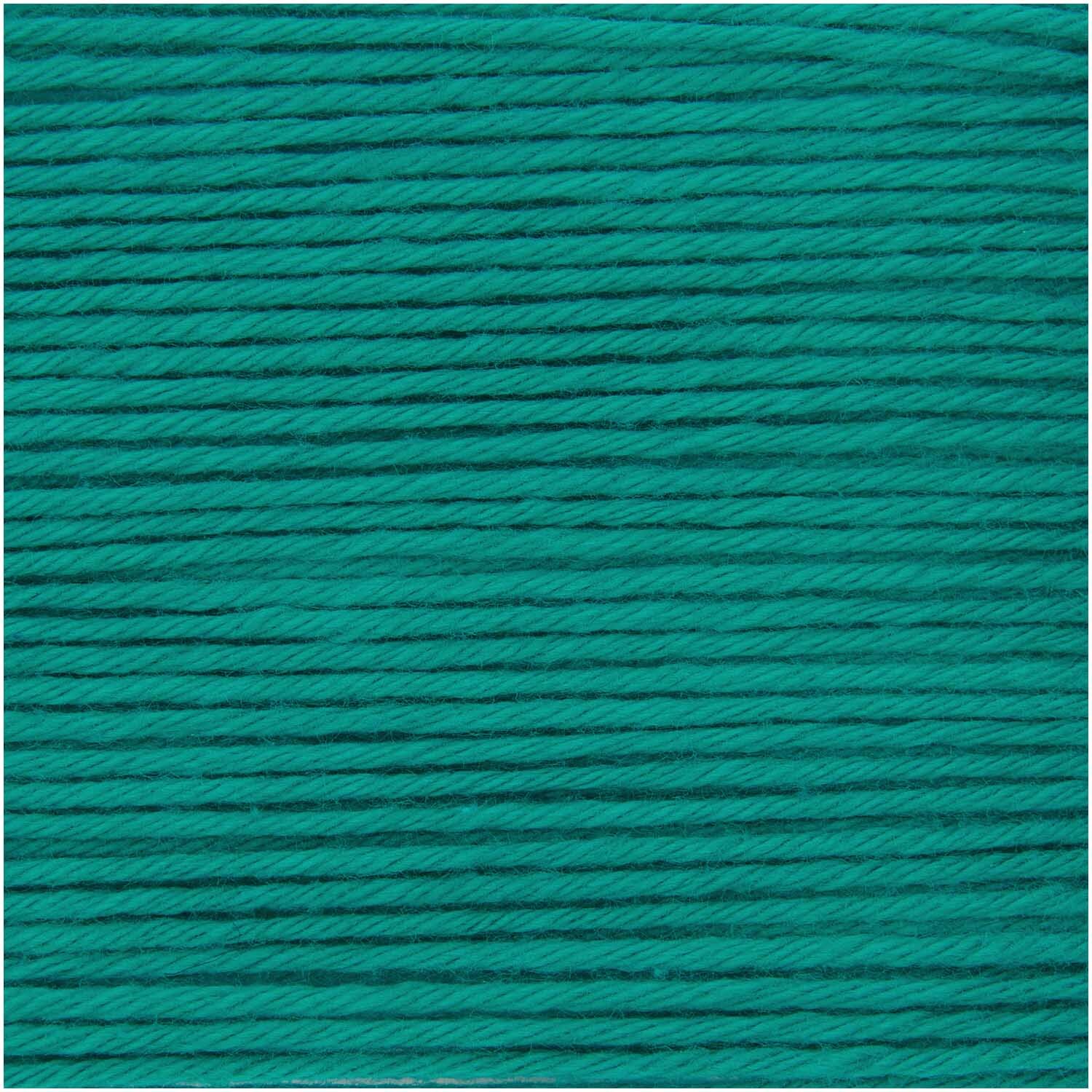 Algae