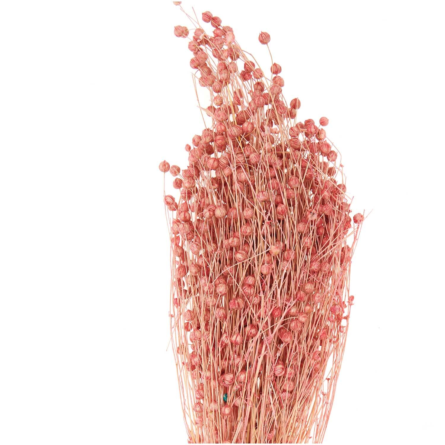 Getrockneter Flachs pink 60-75cm 100g von Rico Design, zeigt zarte, rosa gefärbte Flachsstängel in einem Bündel.