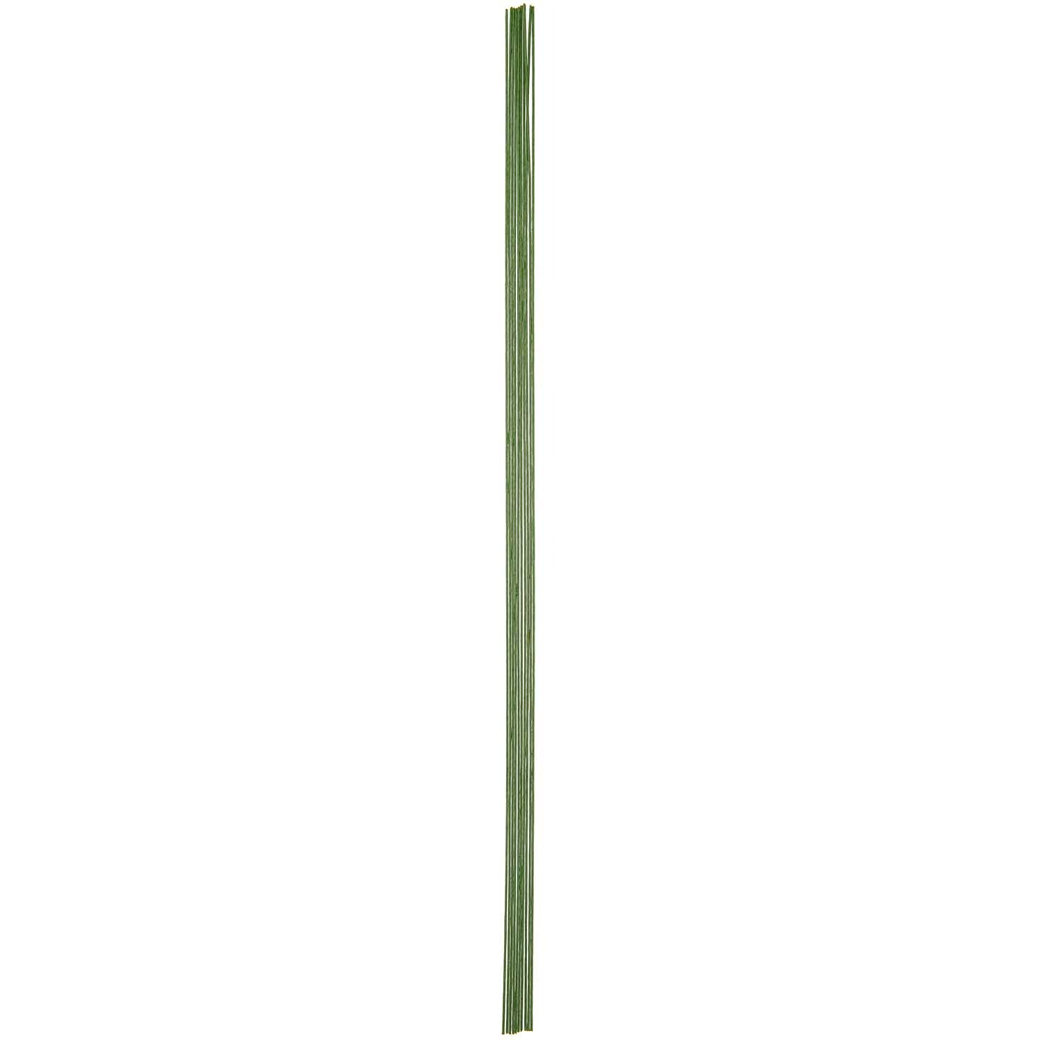 Papierdraht 1,8mm 1m 10 Stück Farbe Grün von Rico Design