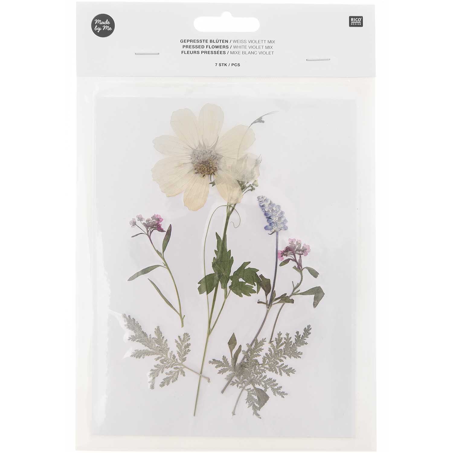 Gepresste Blüten Mix Set weiß-violett 7 Stück von Rico Design
