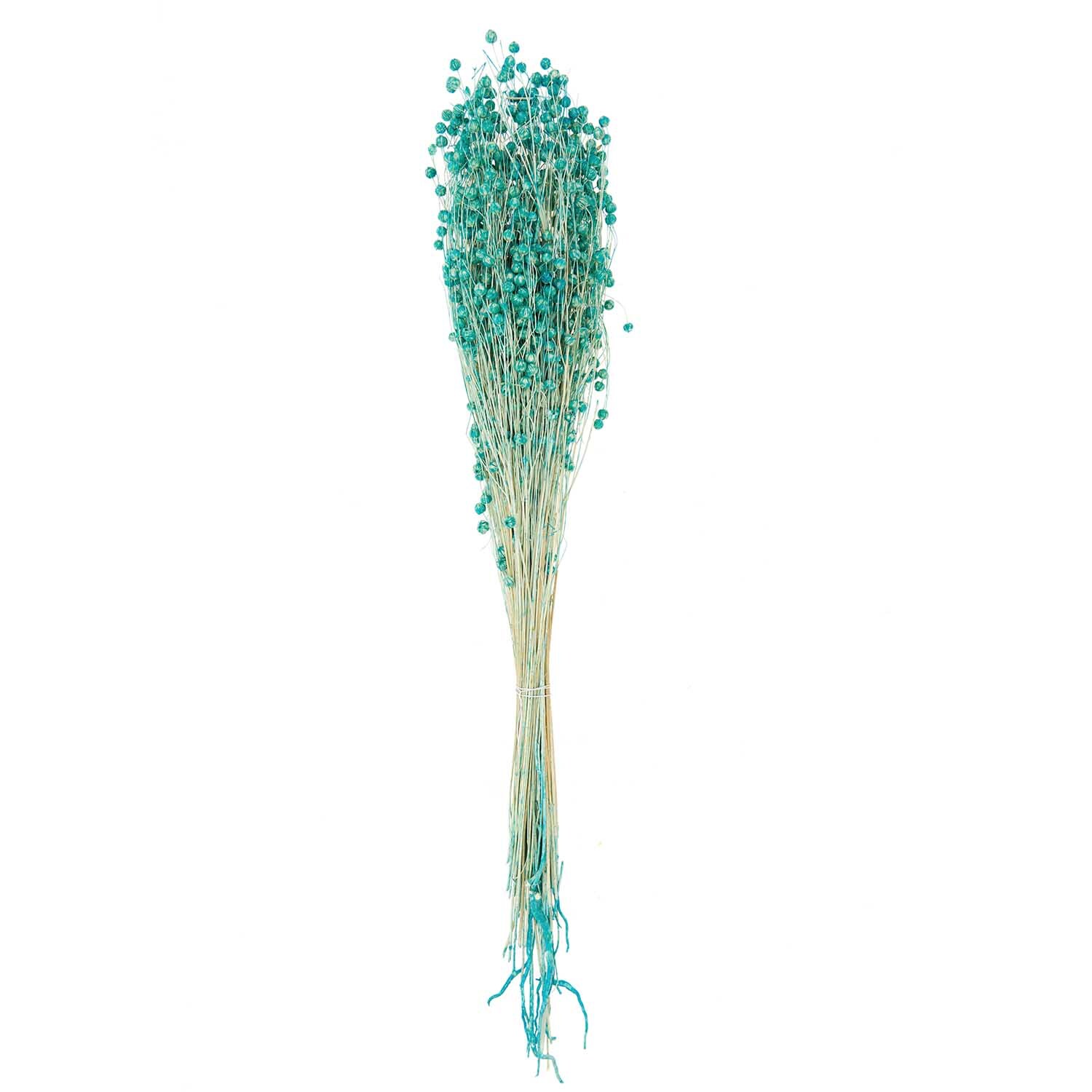 Getrockneter Flachs türkis 60-75cm 100g von Rico Design Getrockneter Flachs von Rico Design, türkis, 60-75 cm lang, 100 g. Ideal für Dekorationen.