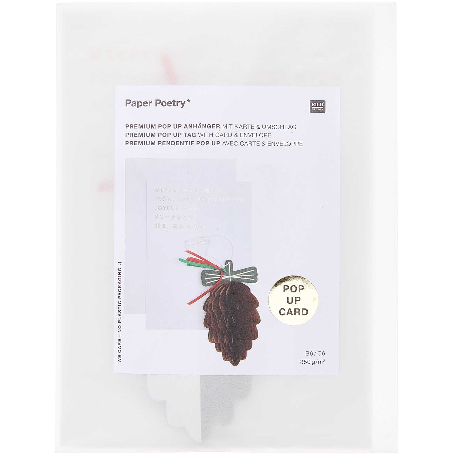 Paper Poetry Kartenset mit Pop-Up Anhänger Zapfen B6 von Rico Design