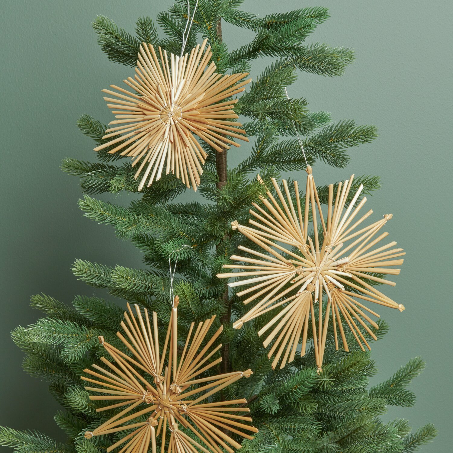 Put a Bow on It Strohstern Ø20cm von Rico Design Put a Bow on It Strohstern groß: Drei natürliche Strohsterne hängen an einem grünen Tannenbaum.