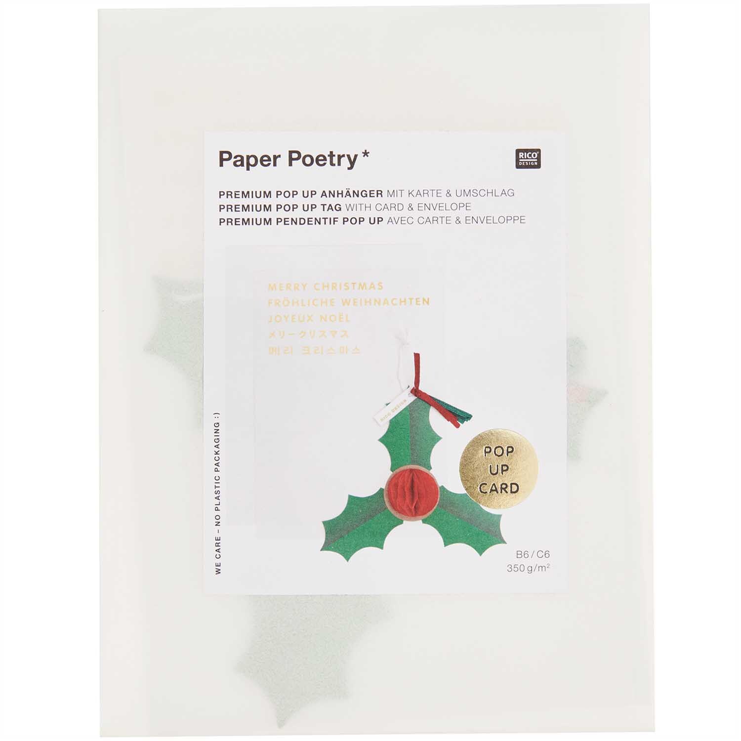 Paper Poetry Kartenset mit Pop-Up Anhänger Ilex B6 von Rico Design