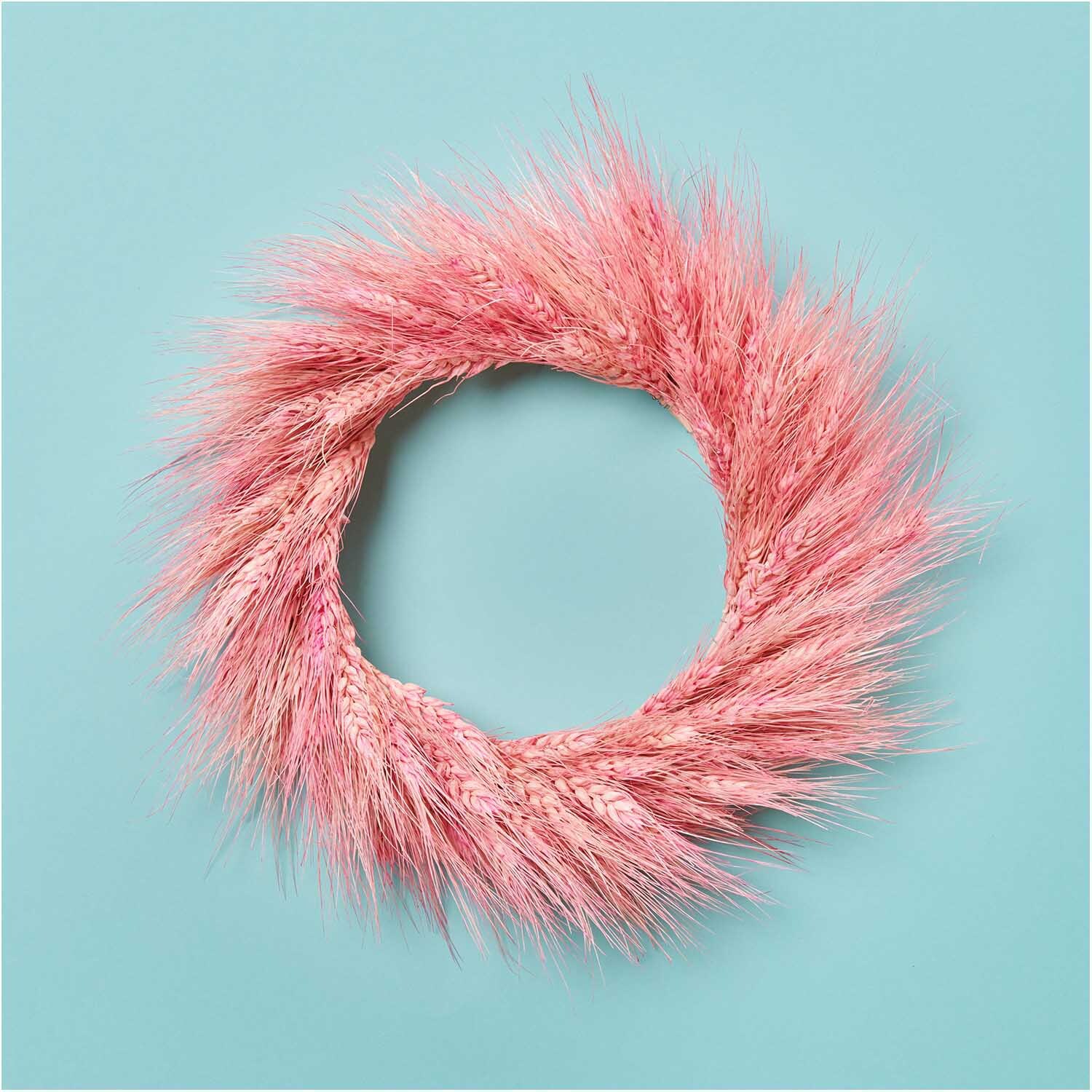 Getrockneter Weizenbund pink 30cm 150g von Rico Design