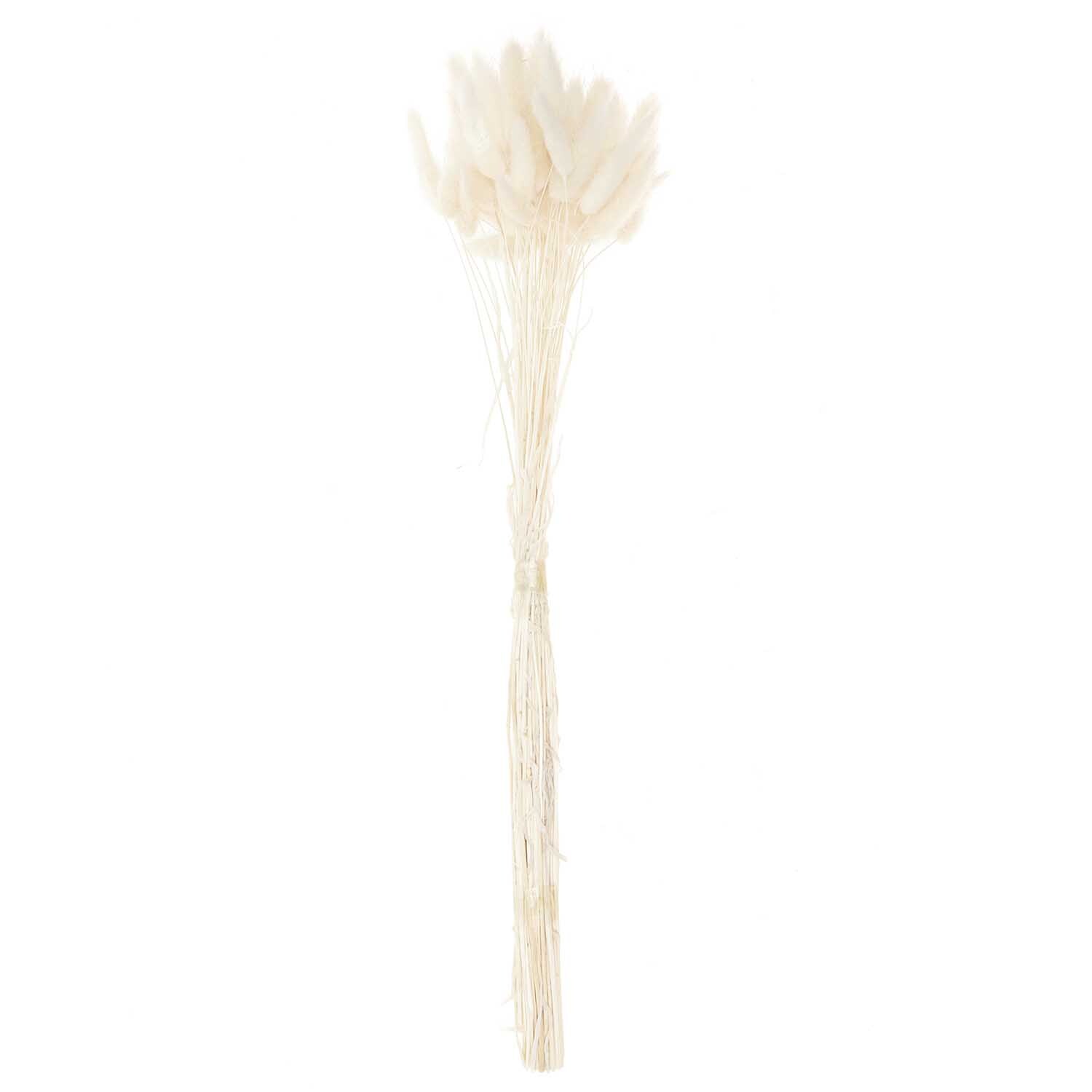 Getrockneter Lagurus weiß ca. 40cm 50 Stück von Rico Design Getrockneter Lagurus, 40 cm, 50 Stück, von Rico Design. Eleganter weißer Strauß für stilvolle Dekorationen.