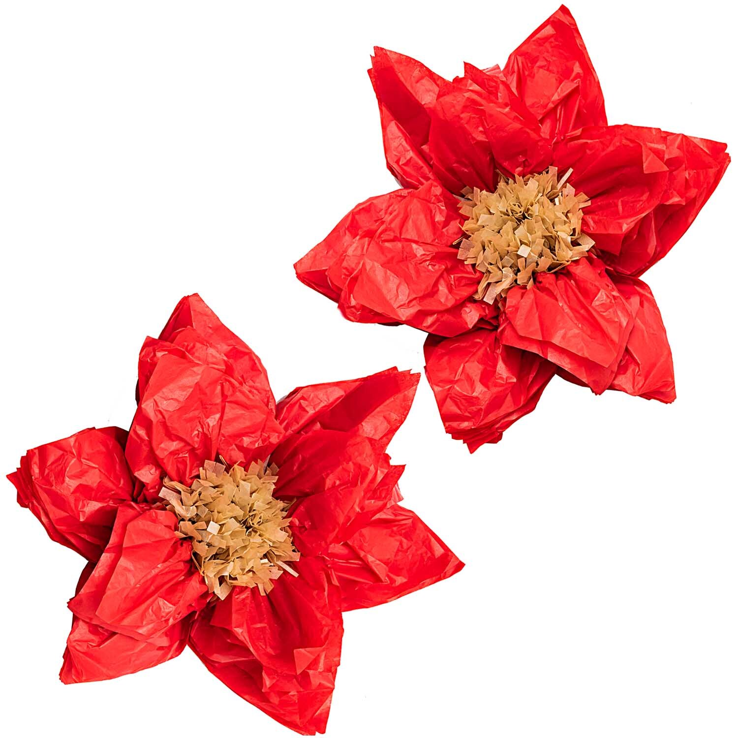 Rot