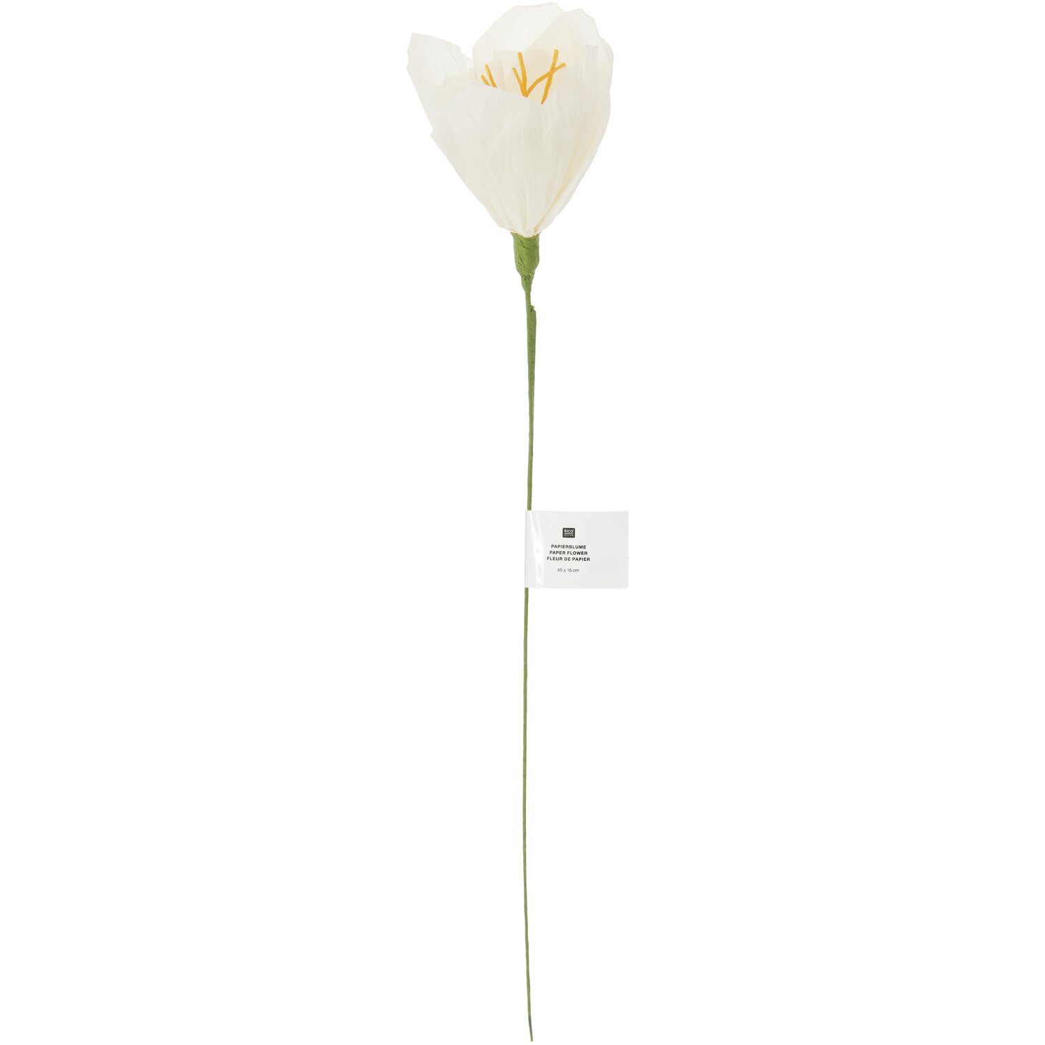Papierblume Narzisse in Offwhite von Rico Design, 45x15cm, mit langem grünen Stiel und zarten Blütenblättern.