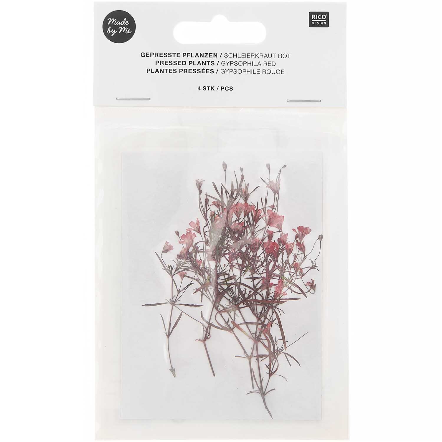 Gepresste Pflanzen Schleierkraut rot 4 Stück von Rico Design